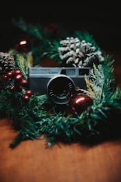 a camera on a tree
