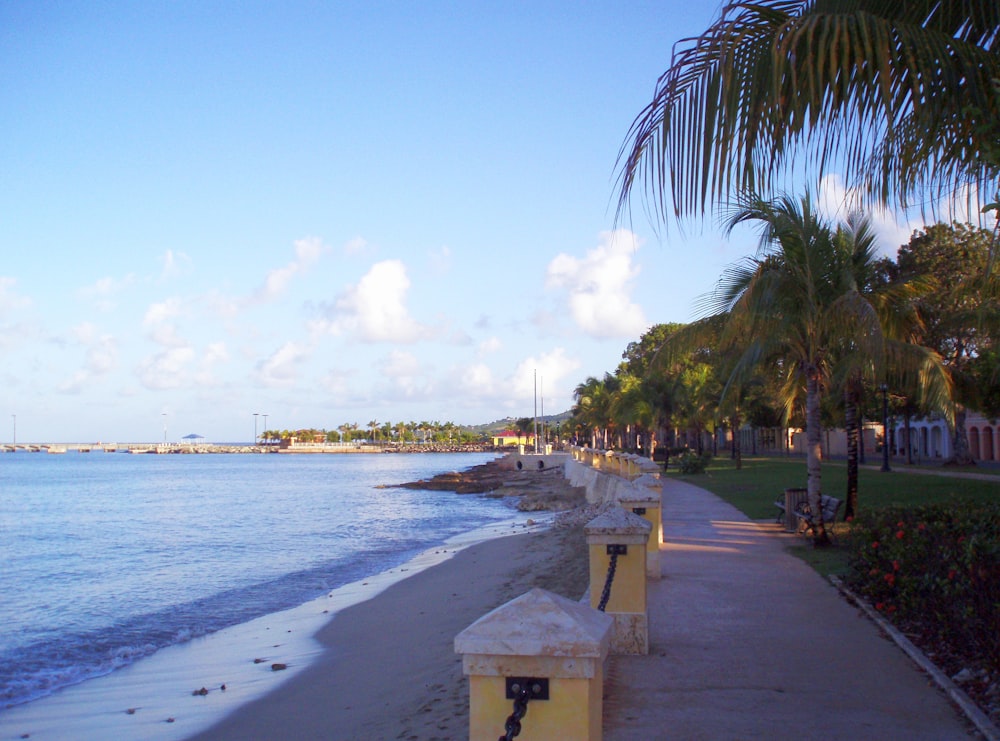 a sidewalk next to a beach