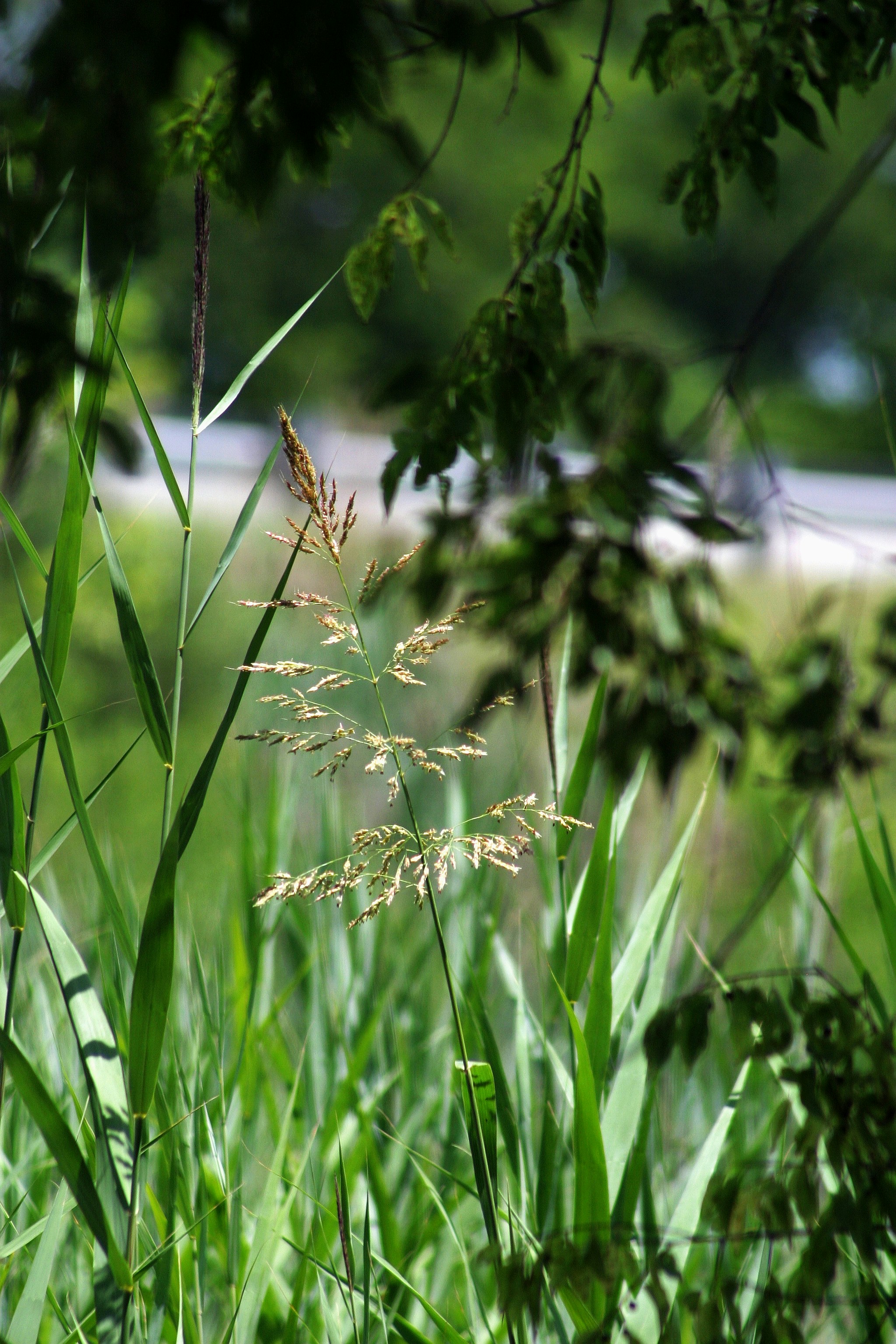 Photo by climatechangevi