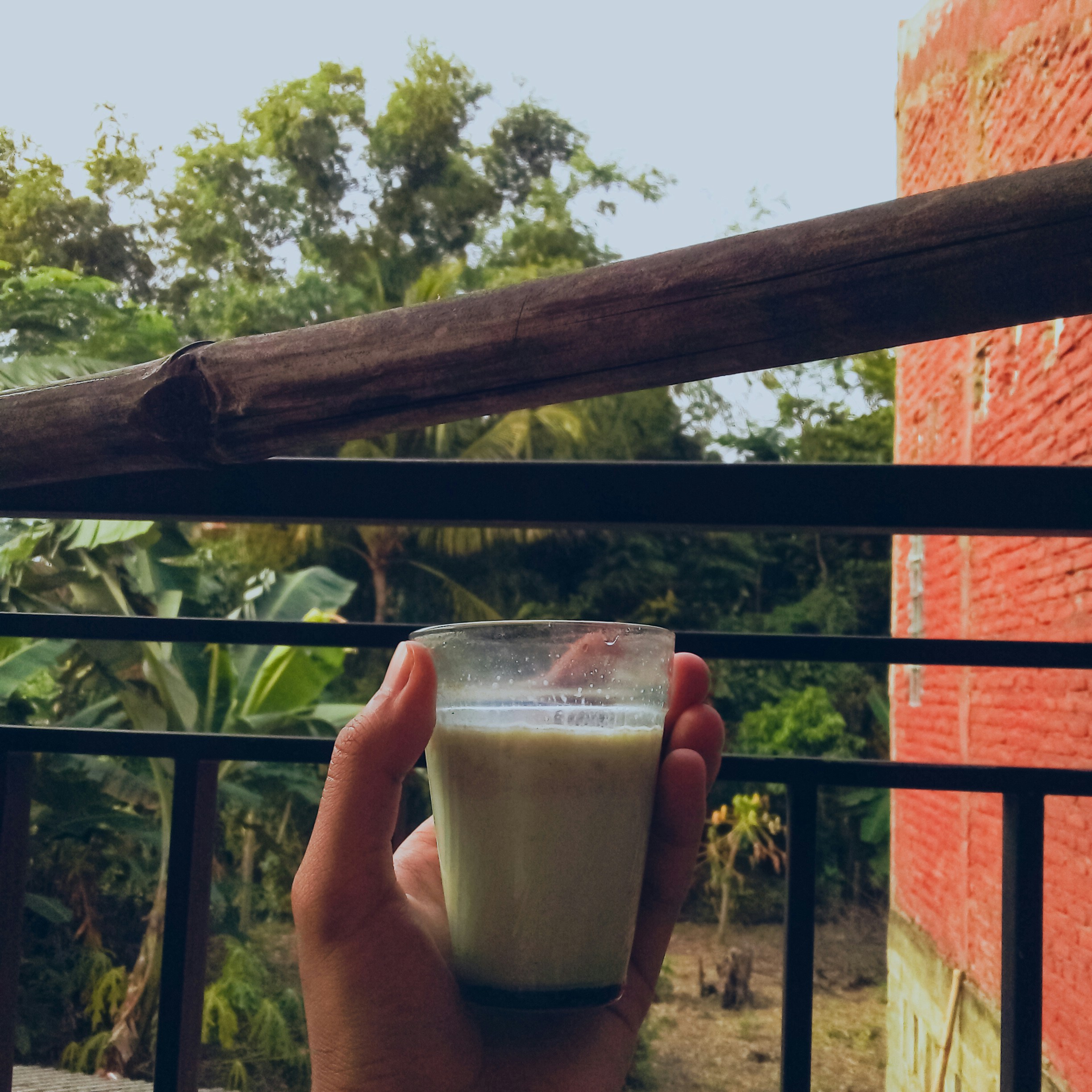Silk Soy Milk