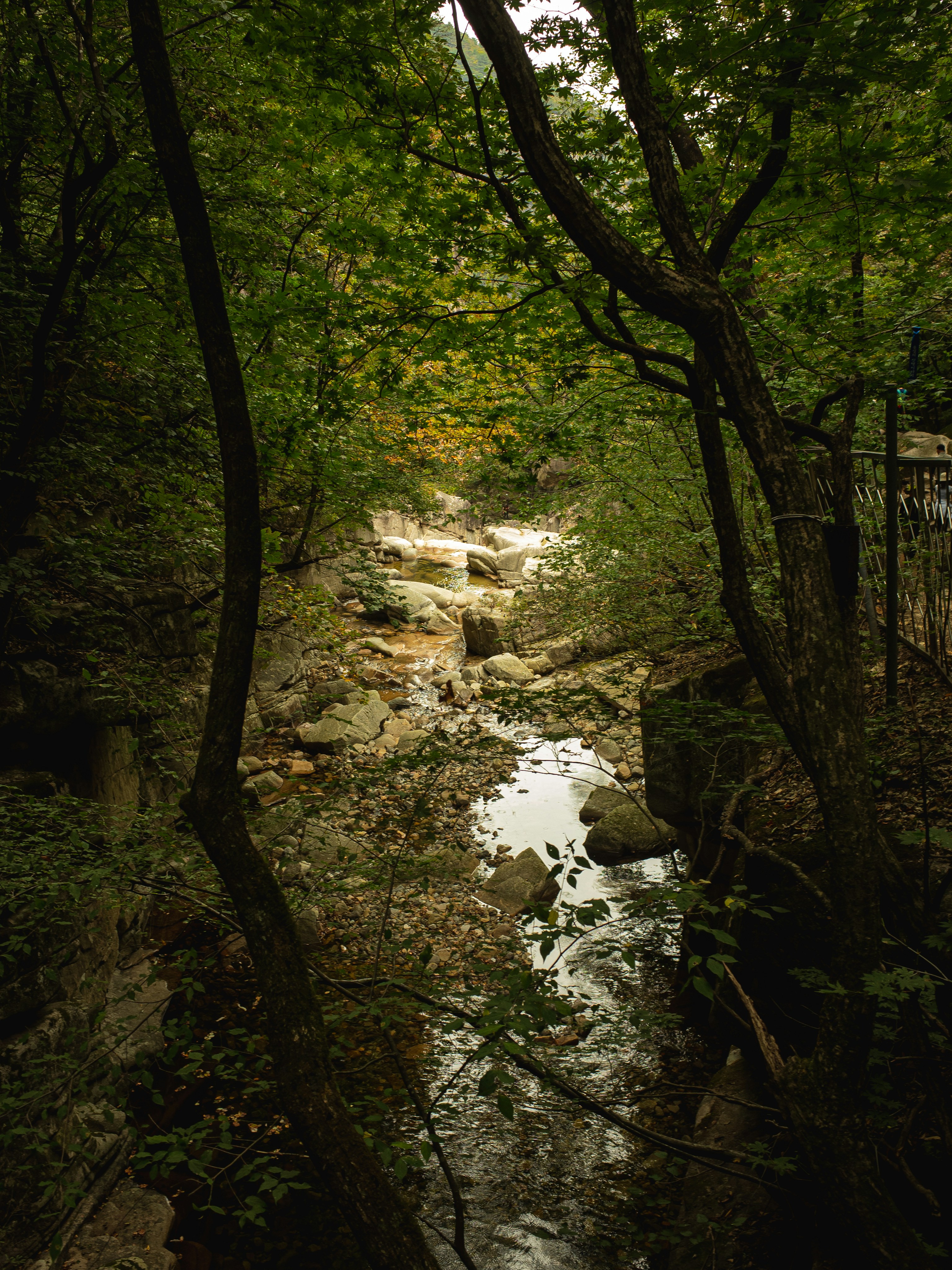 Photo by jinhan_photo