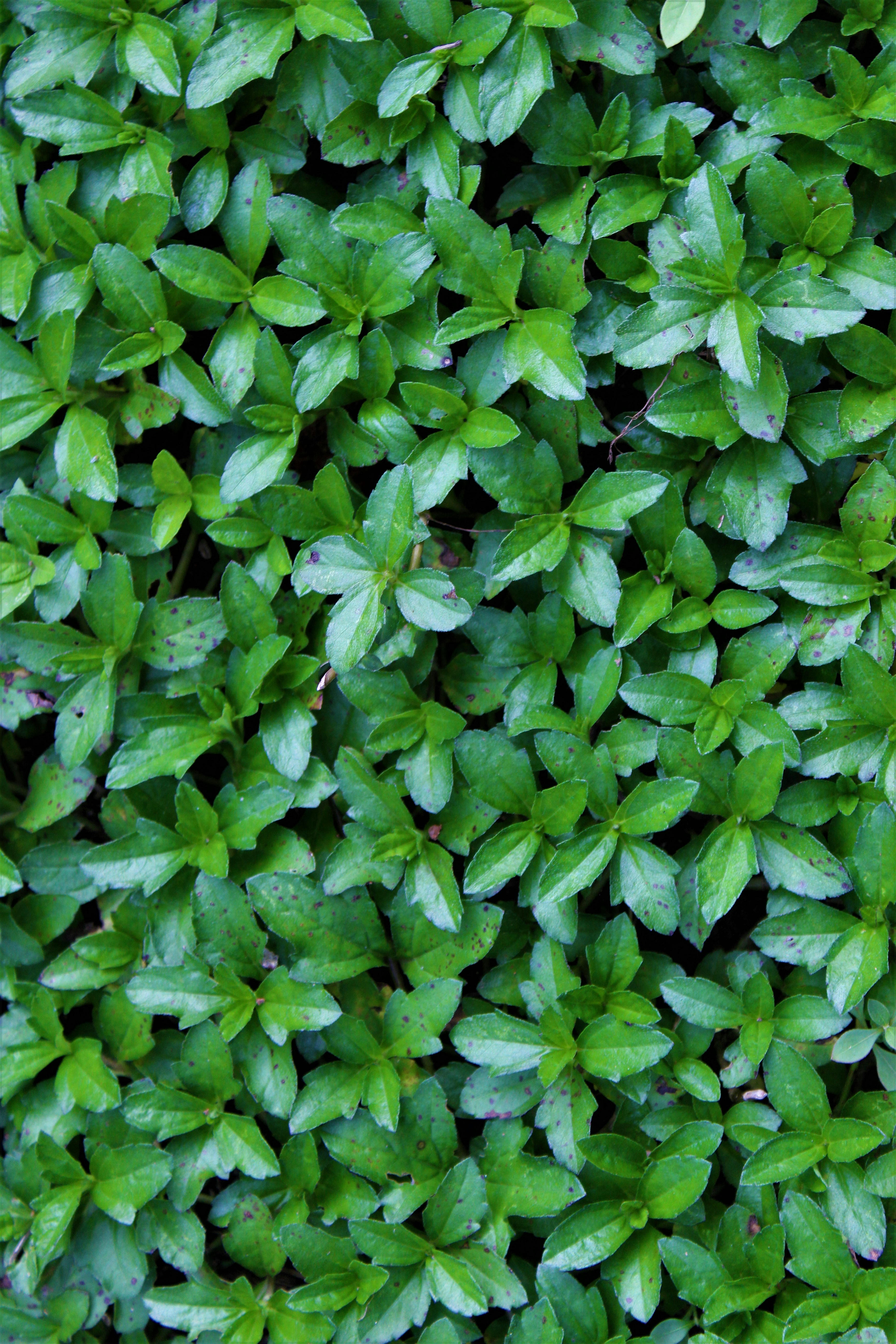 Photo by sanchh_shoot_shades_