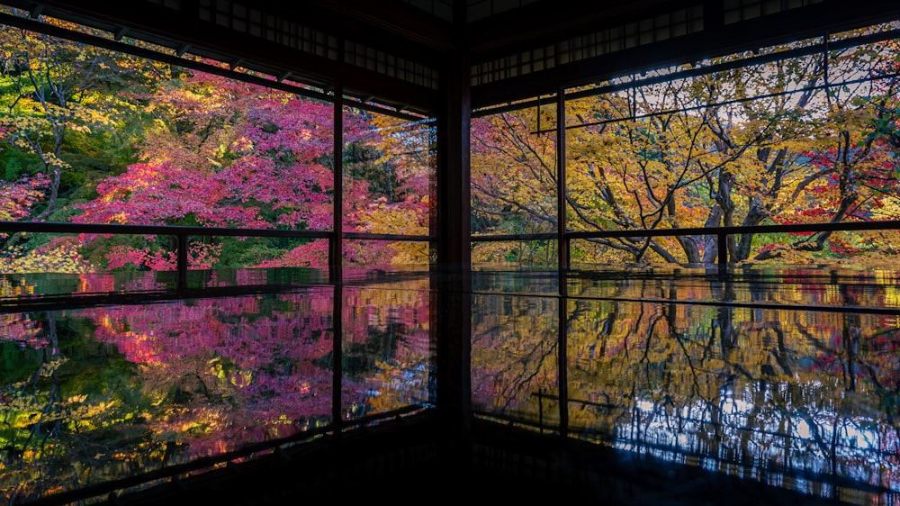 a view of a forest through a window