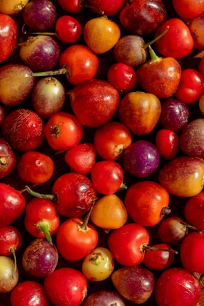 A collection of various colorful fruits, featuring shades of red, purple, and orange. The fruits are tightly packed together, creating a vibrant and rich tapestry of color and texture.