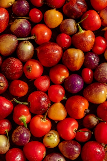 A vibrant assortment of frozen organic fruits ready for export.
