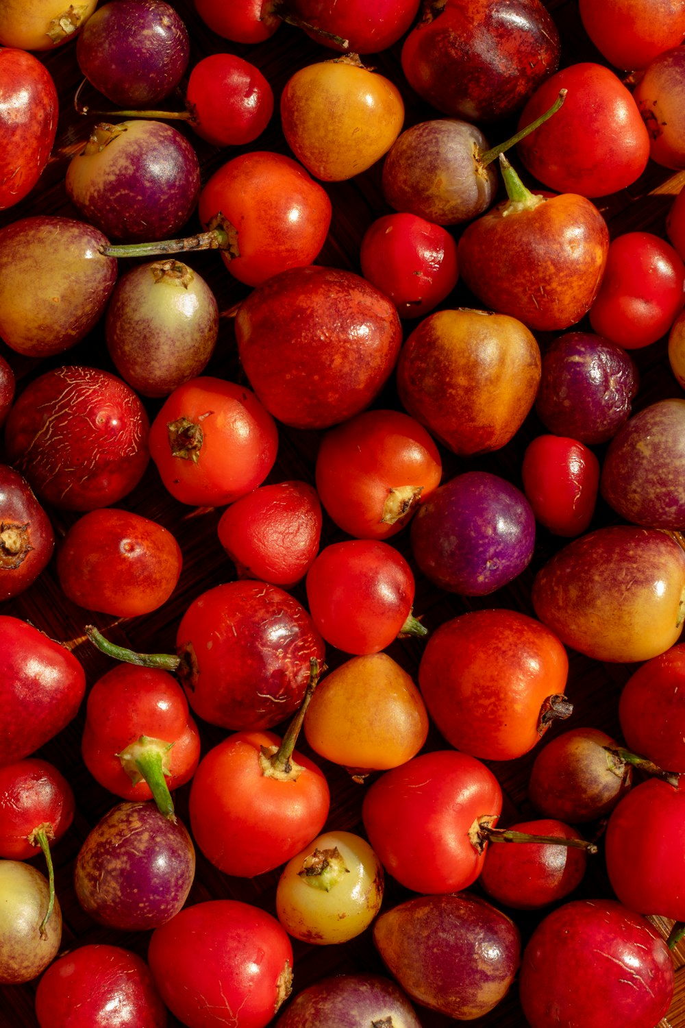 a pile of red and yellow tomatoes