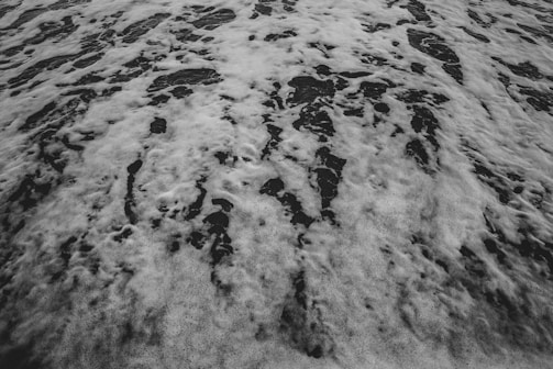 Foamy sea water covers the surface of a dark body of water. The bubbles and foam create an intricate pattern, contrasting sharply with the dark water underneath.