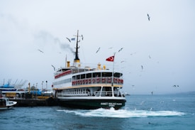 A ferry boat adorned with a red Turkish flag approaches a dock. Seagulls are flying around the vessel, and there is movement in the water indicating its motion. The sky is overcast, giving a muted atmosphere.