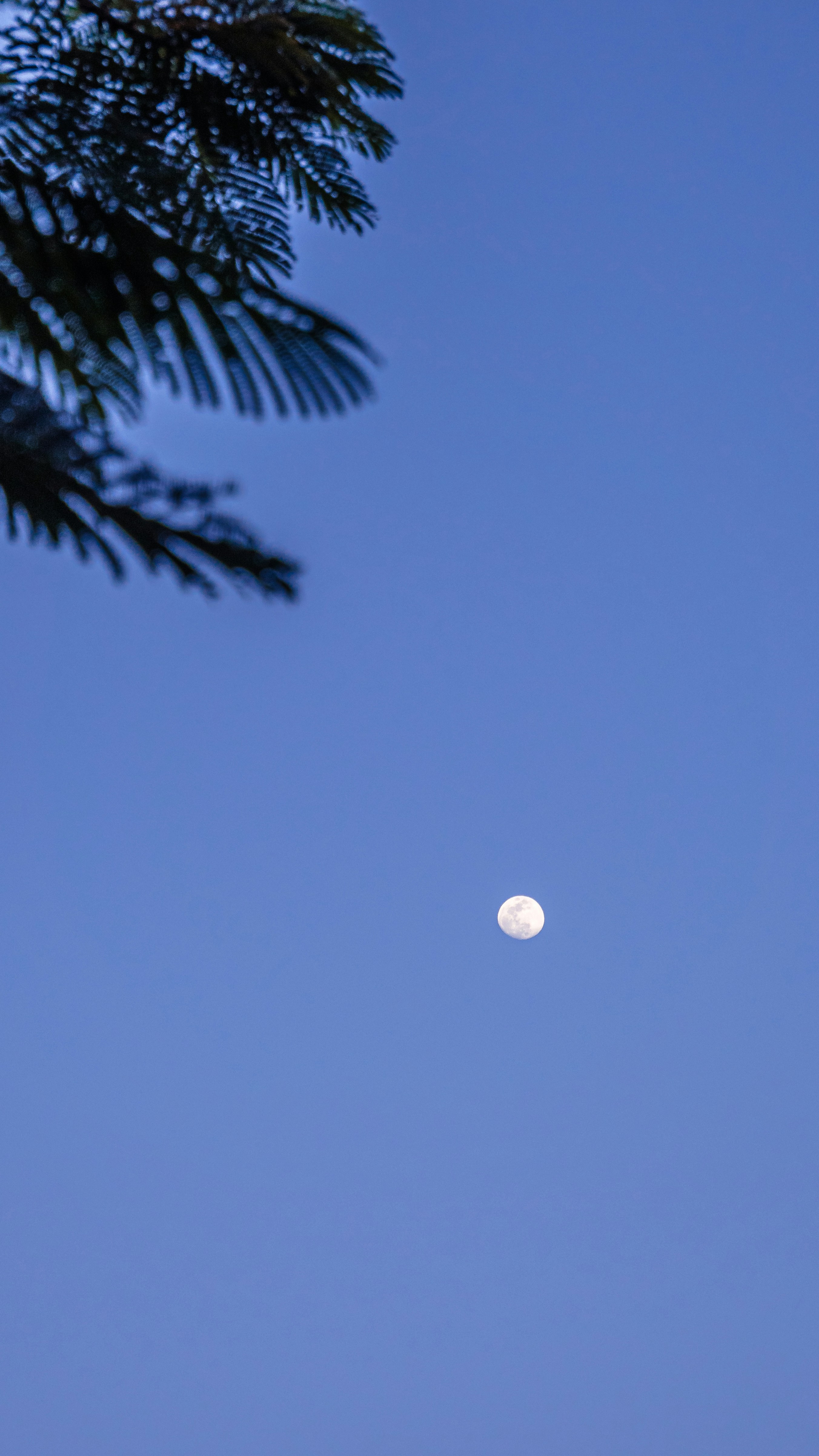 Photo by xiazheng1995