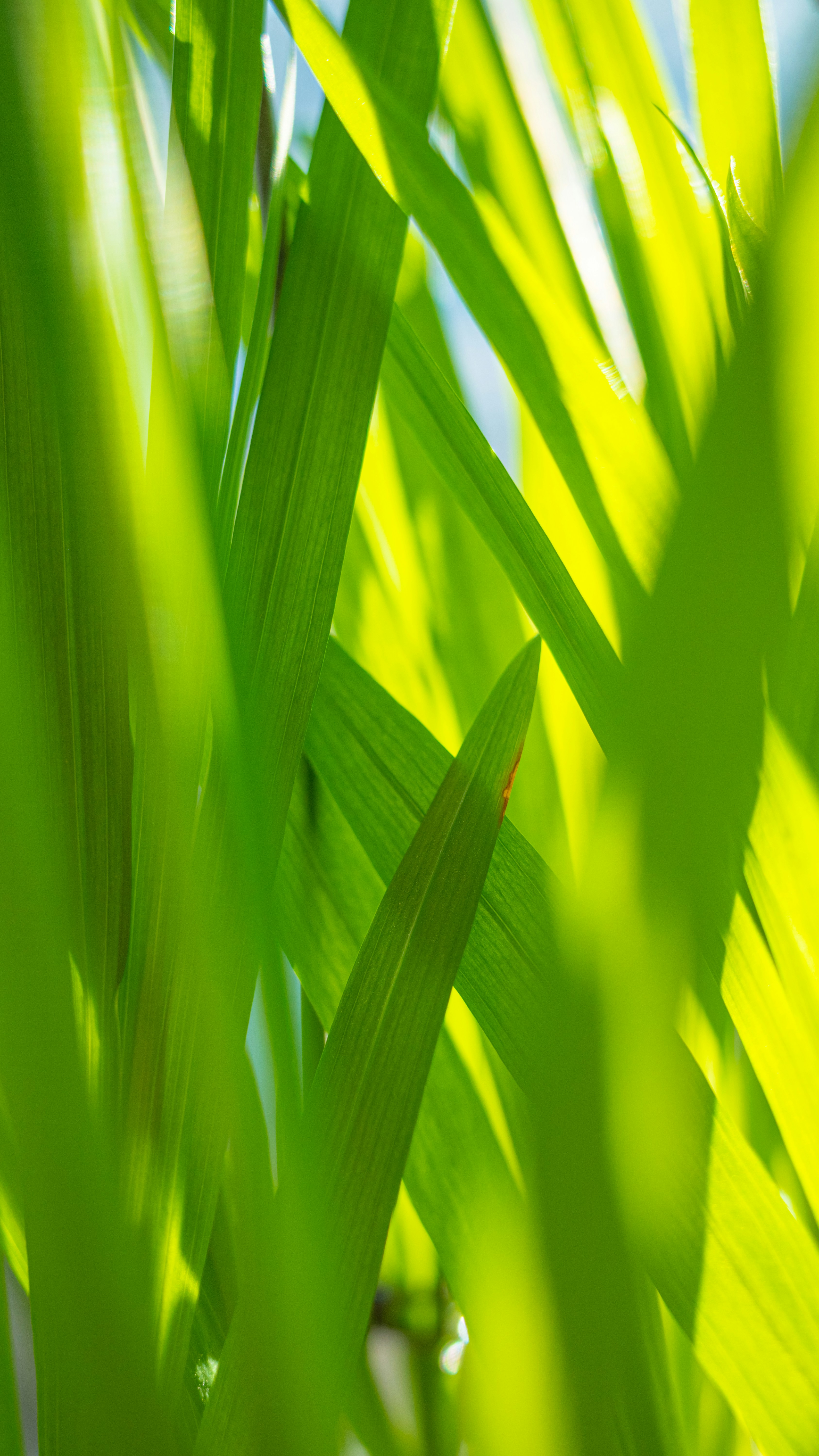 Photo by xiazheng1995