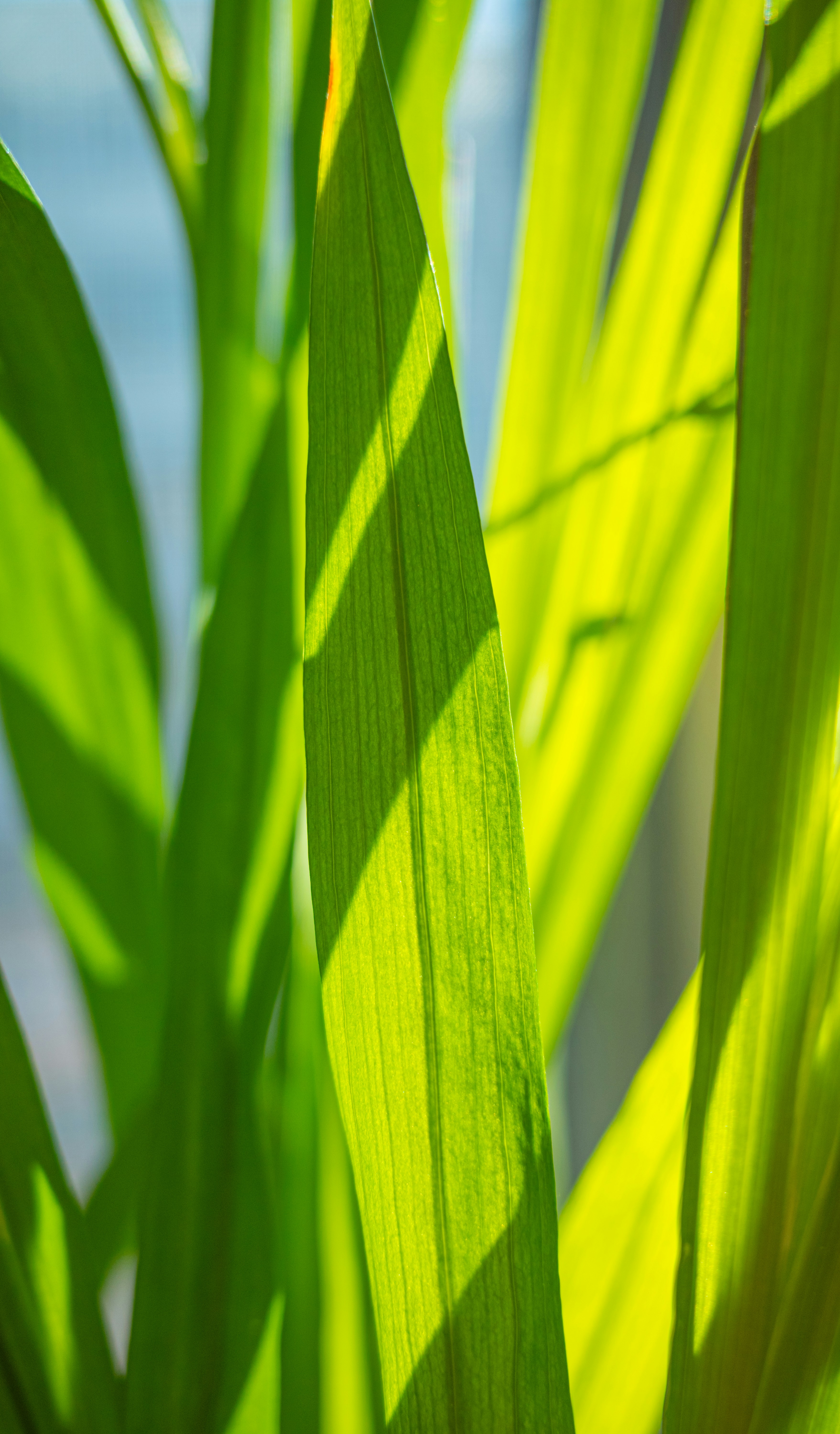 Photo by xiazheng1995