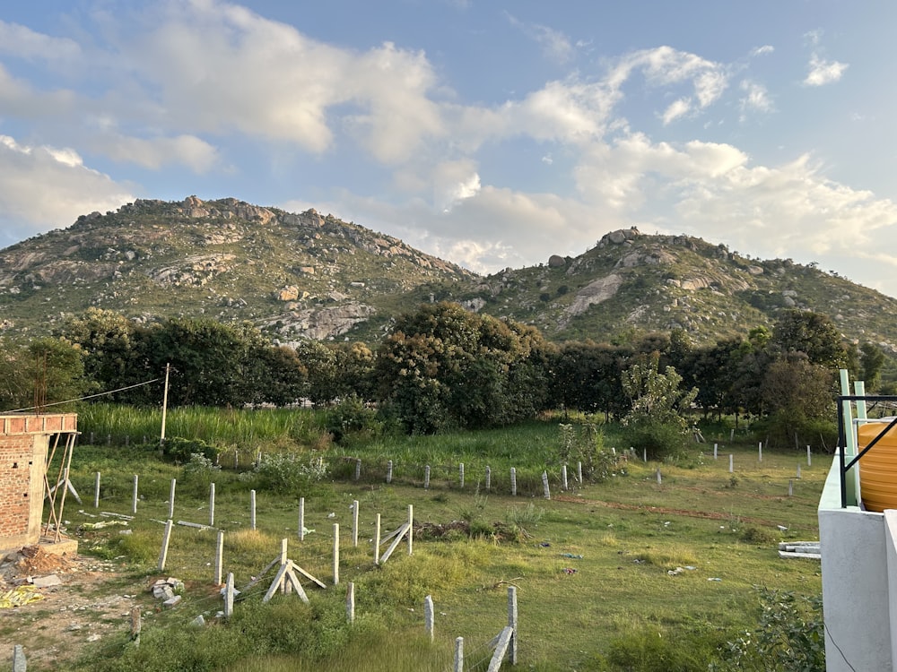 a field with a fence and trees and a hill in the background