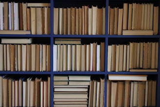 A well-organized library with shelves full of academic books.