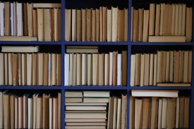A neatly organized bookshelf filled with rows of books, primarily with beige and brown spines, framed by a dark blue structure. The books are arranged both horizontally and vertically, suggesting a cozy, academic atmosphere.