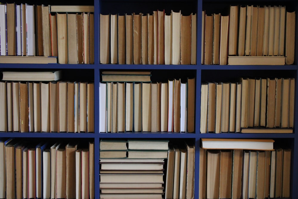 a row of books