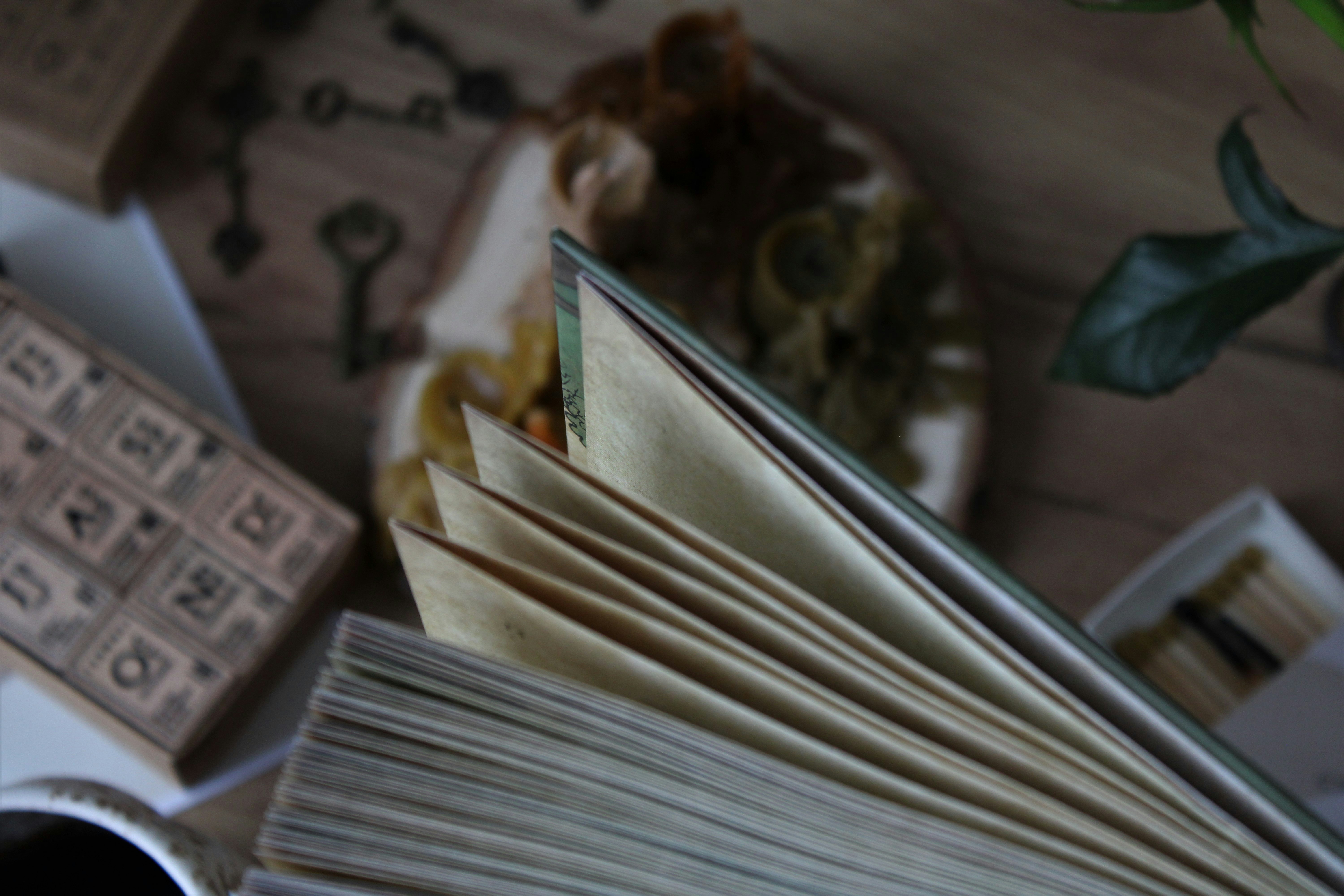 Photo by this_misty_garden