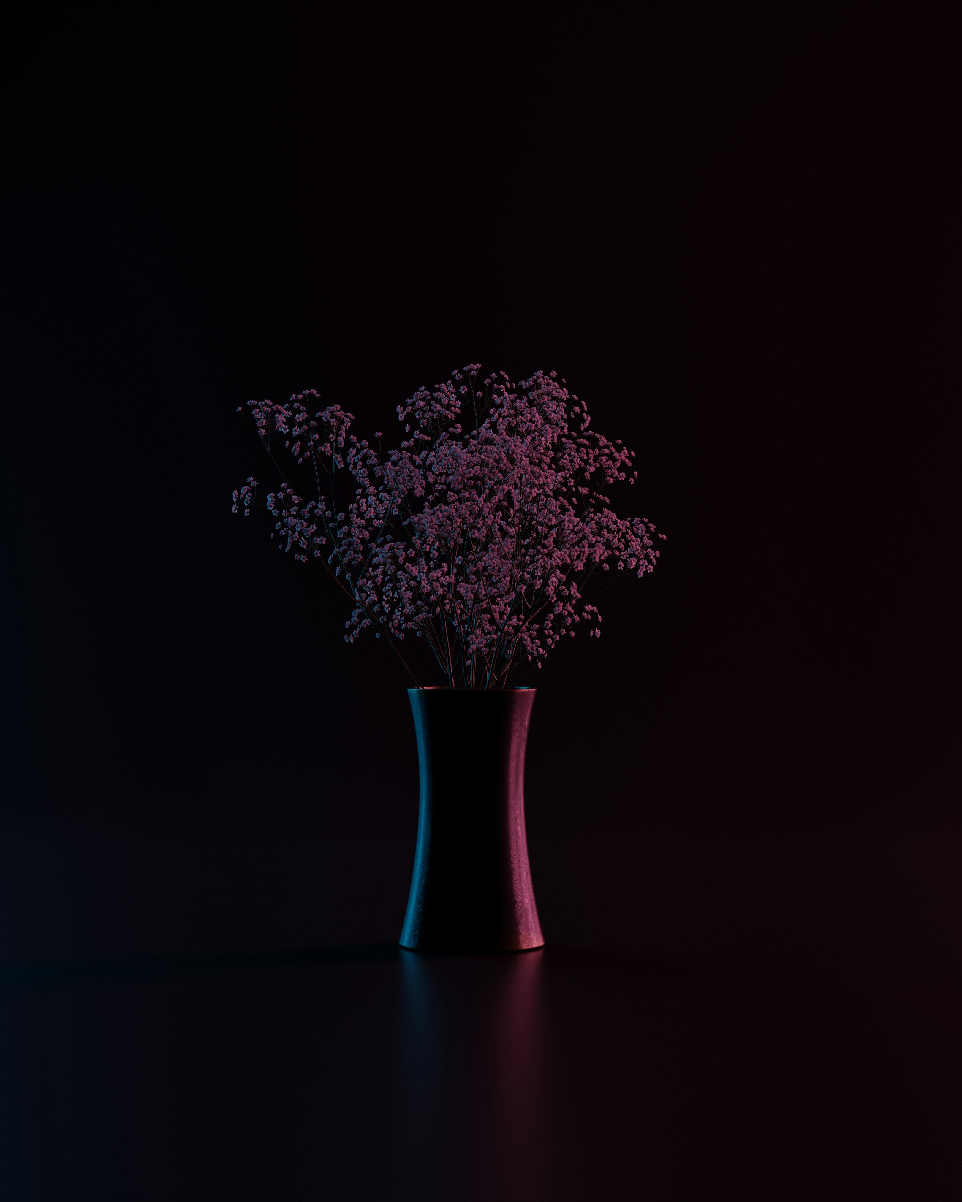 Photo by pramodtiwari