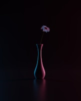 A minimalist still life of a single flower in a dark vase, spotlighted against a black backdrop.