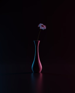 A minimalist still life of a single flower in a dark vase, spotlighted against a black backdrop.