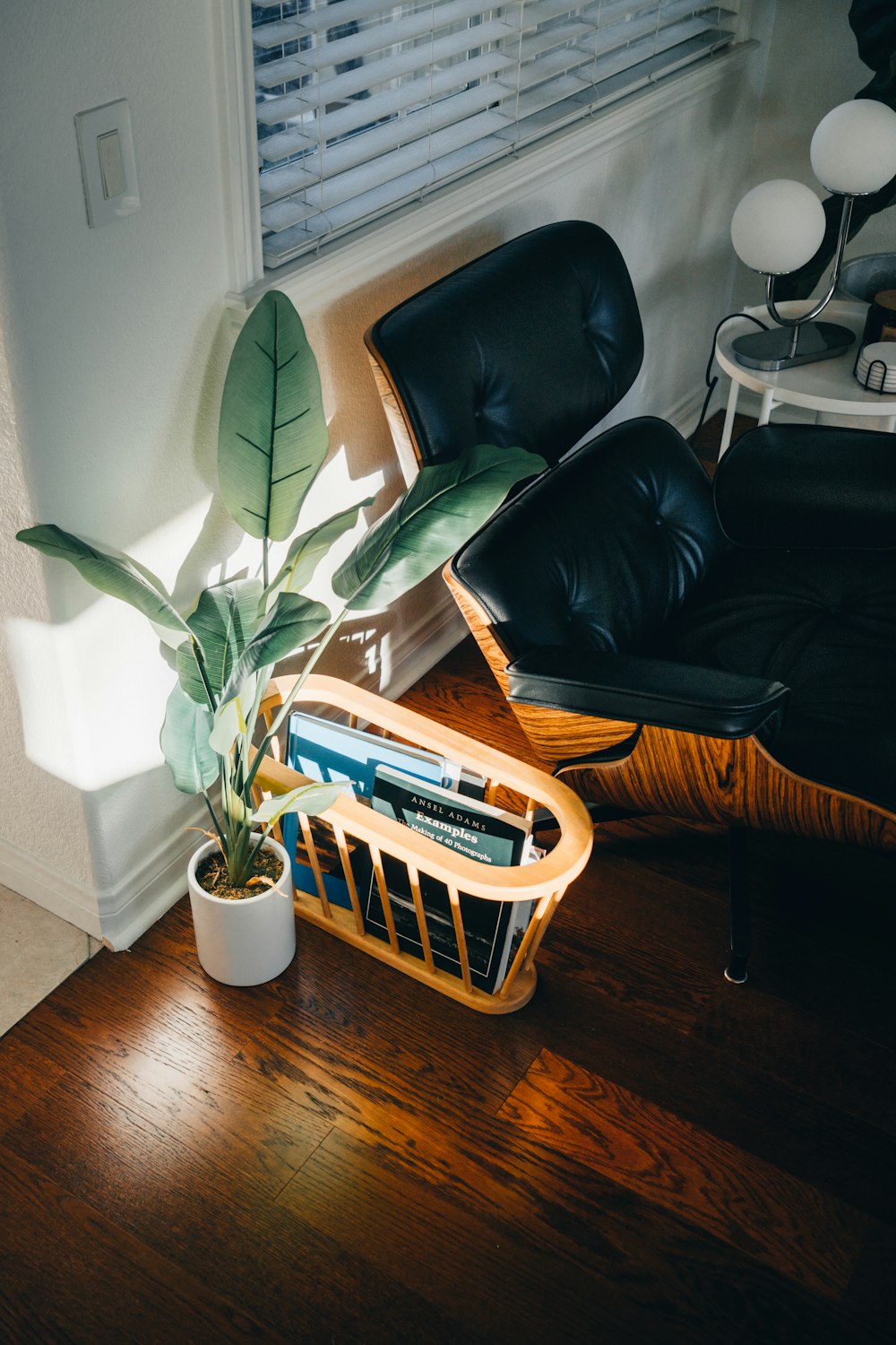 a plant in a pot next to a chair and a plant