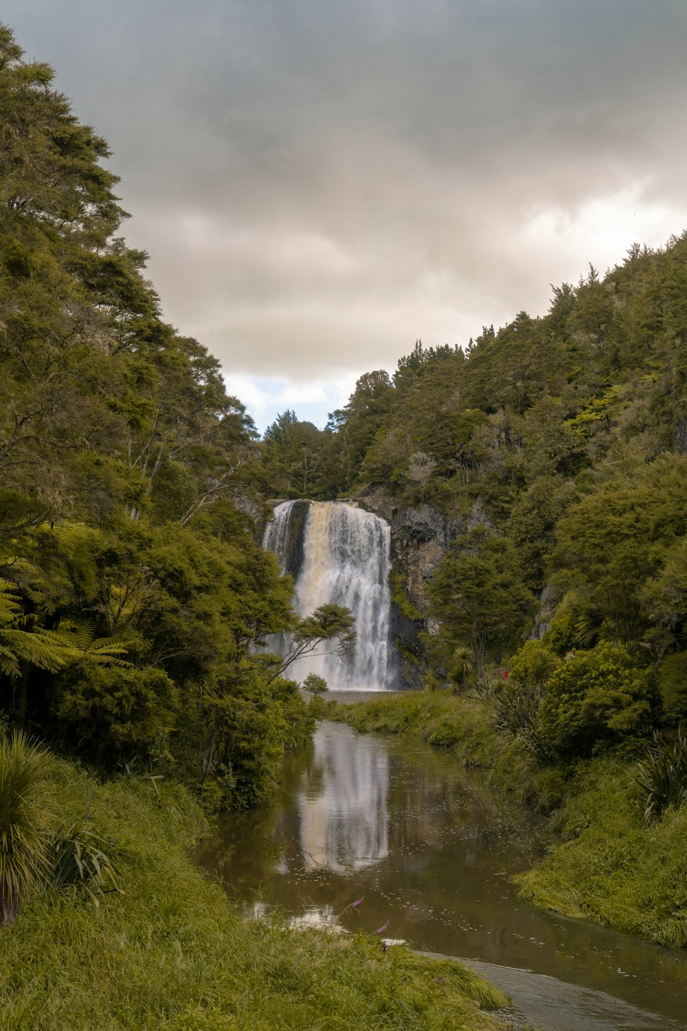 a waterfall in a forest