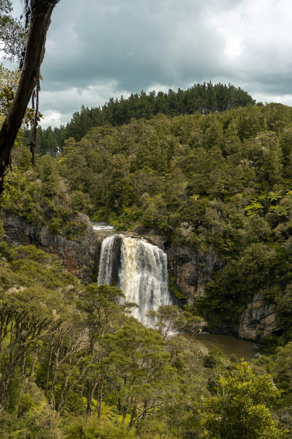 a waterfall in a forest