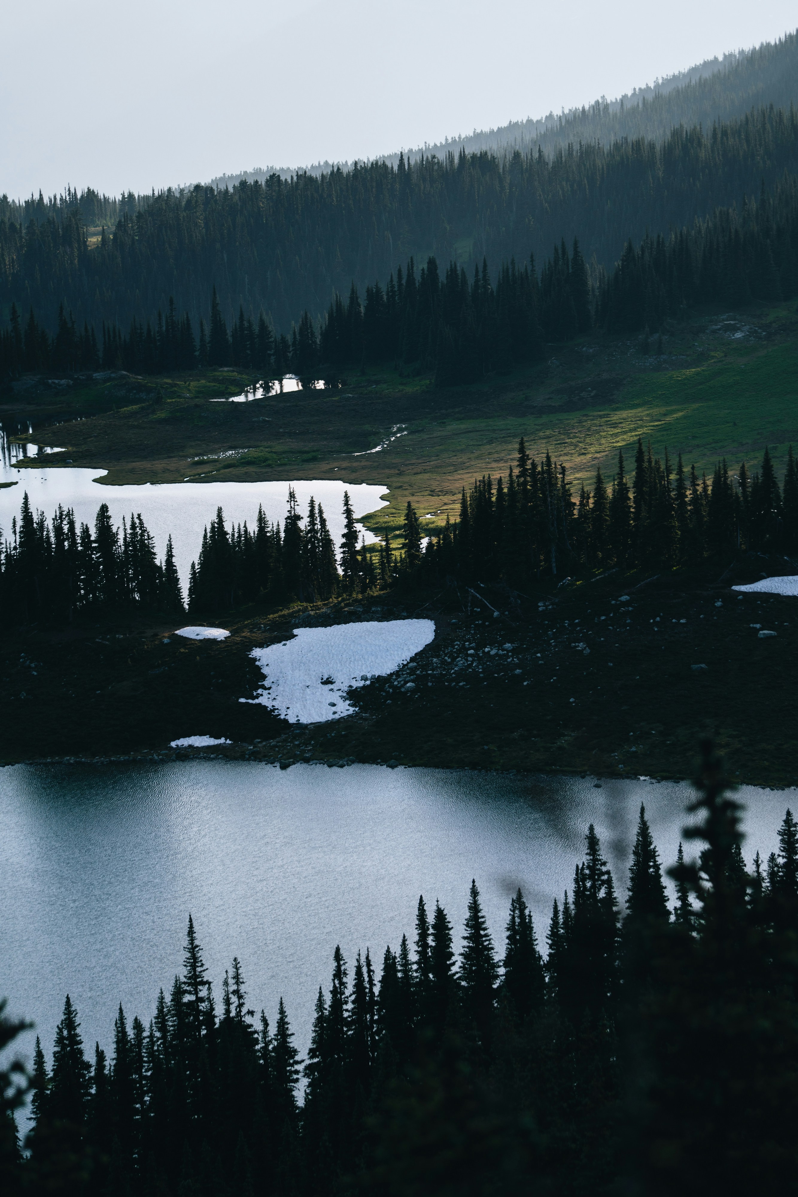 Photo by lifeof_peter_