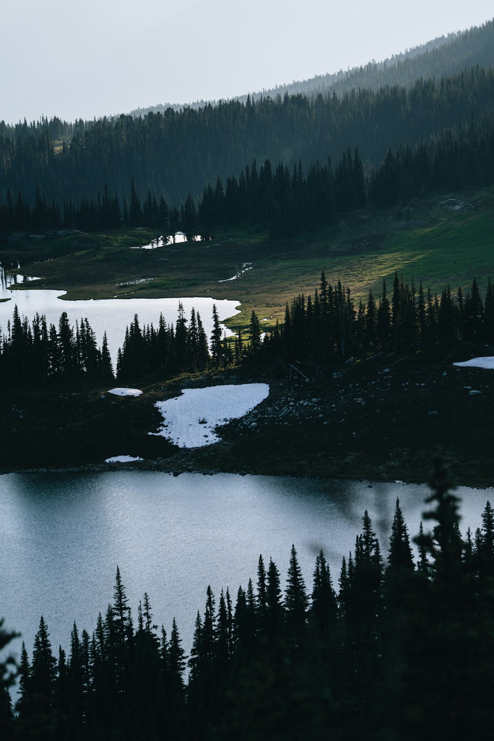 un lac entouré d’arbres