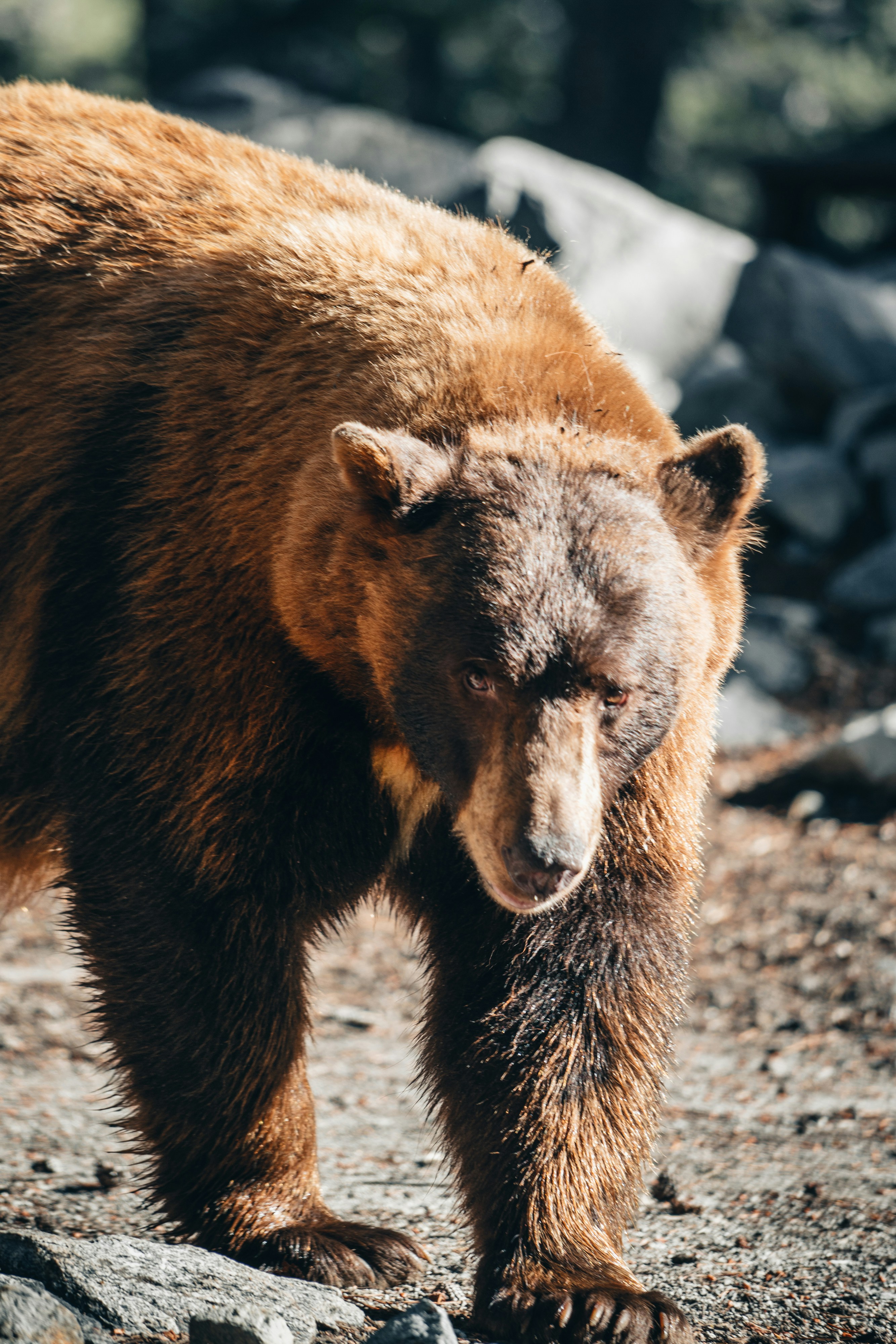 Photo by lifeof_peter_