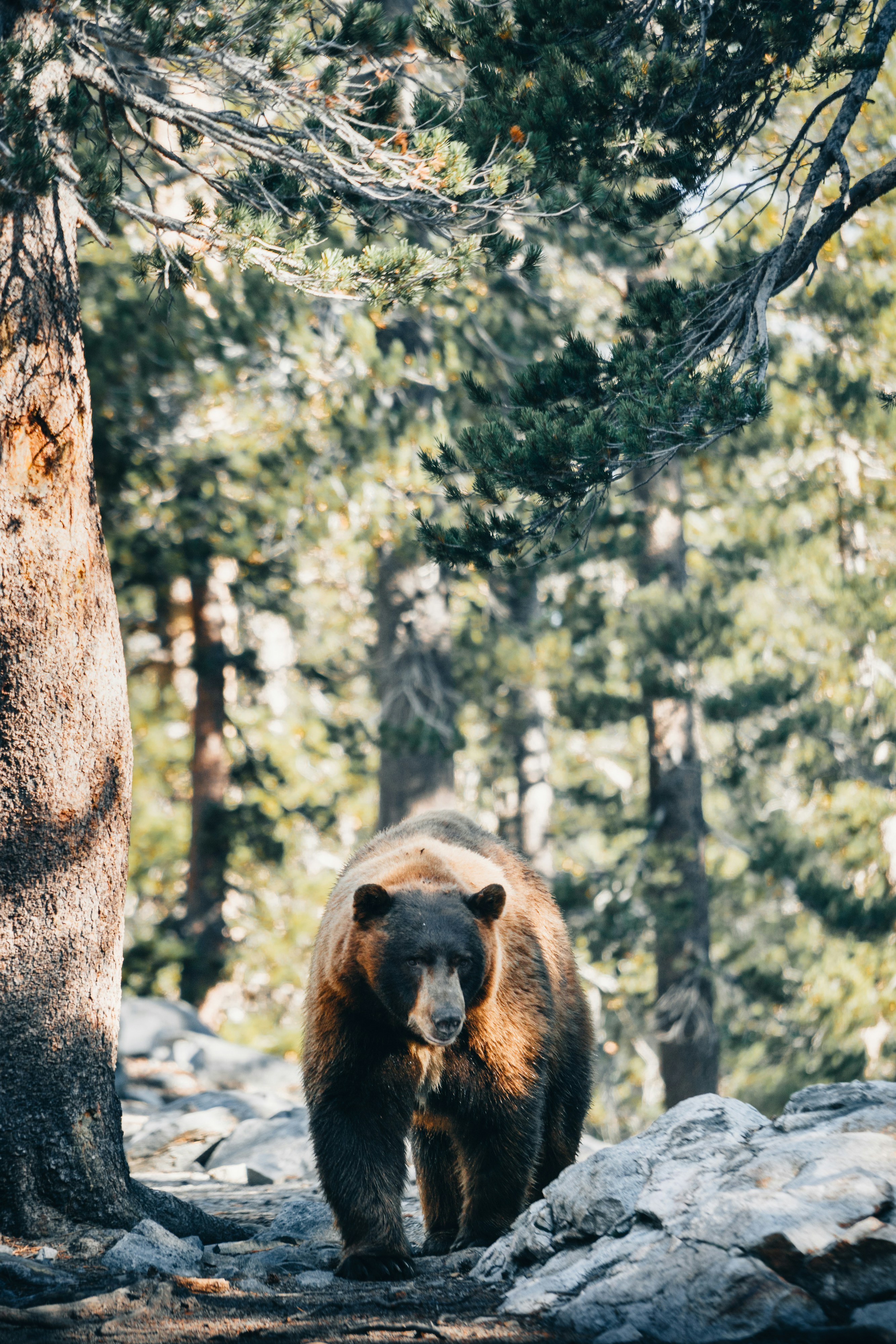 Photo by lifeof_peter_