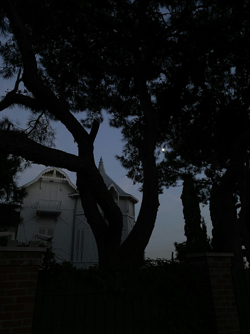 a tree next to a building