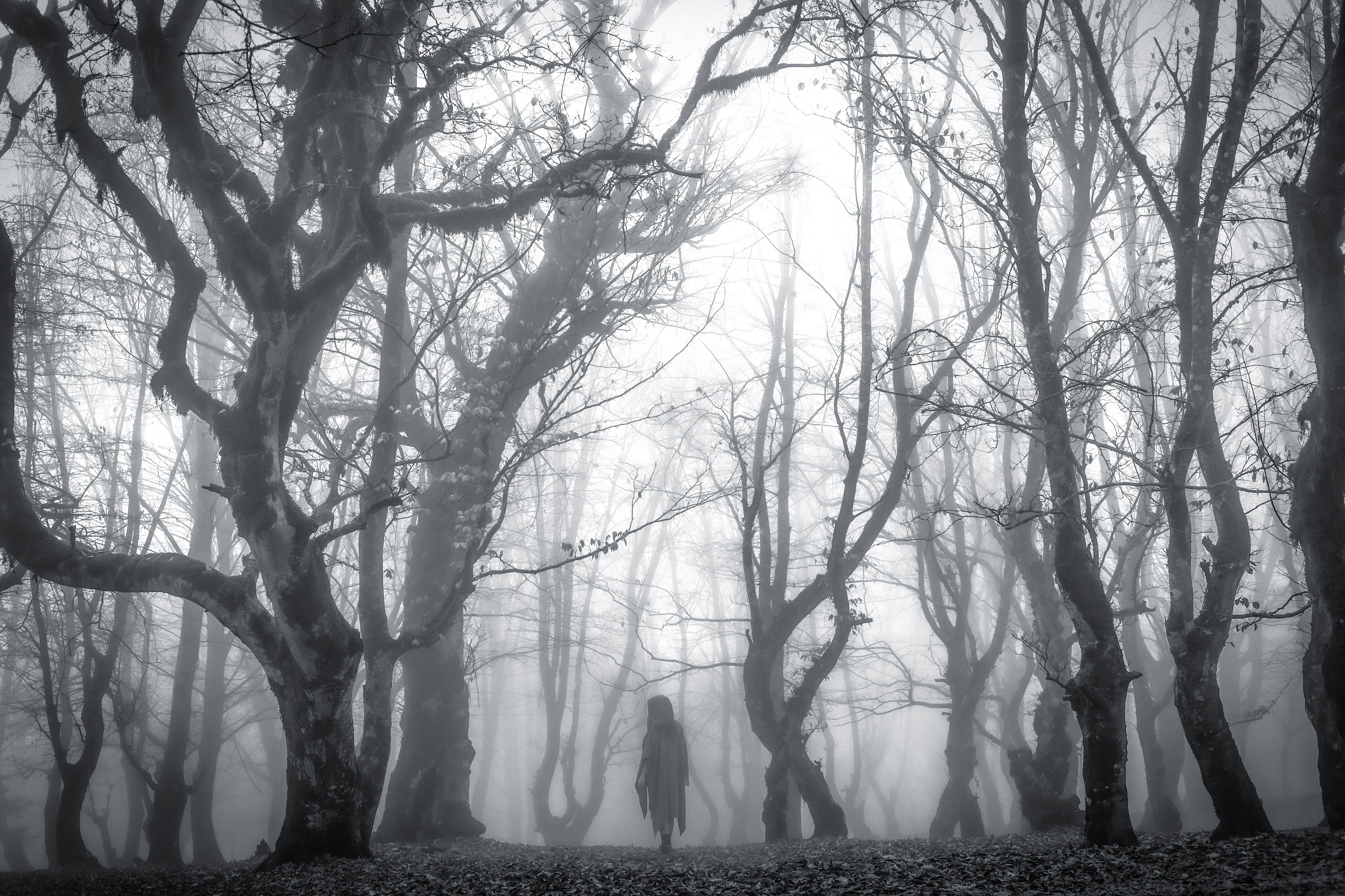 Photo by shahinkhalaji