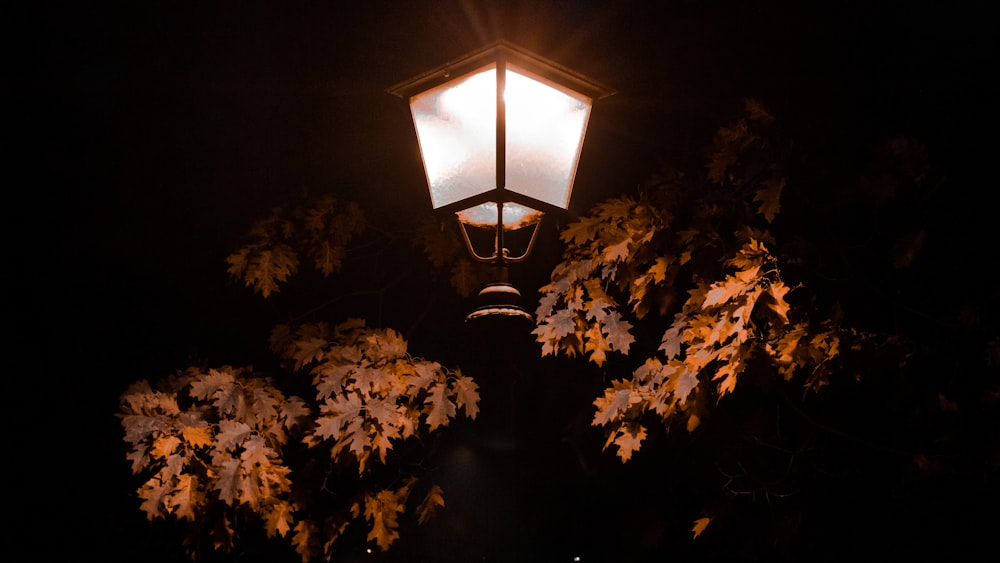 a lamp post with a light on it