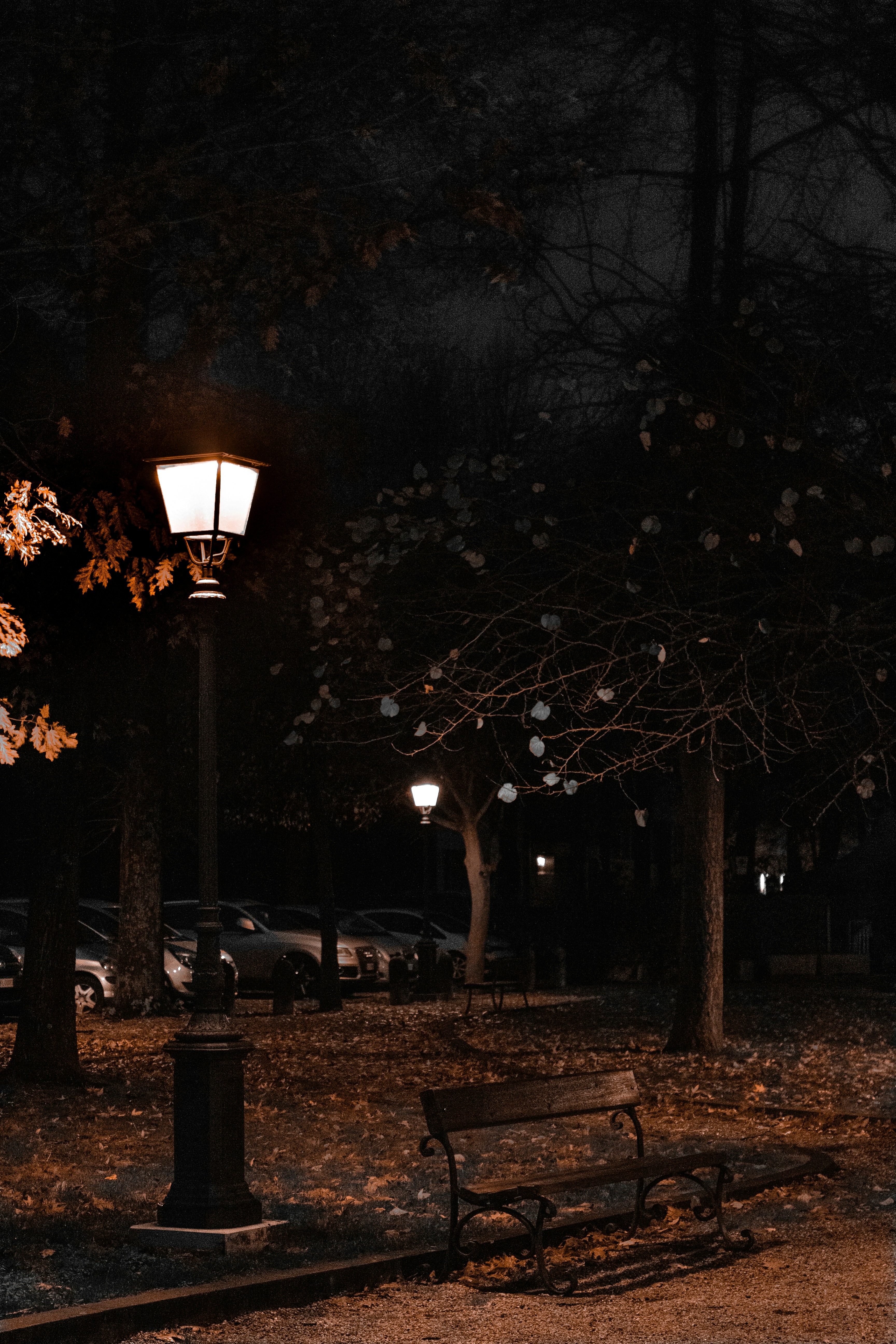 Photo by photosbyedoardo