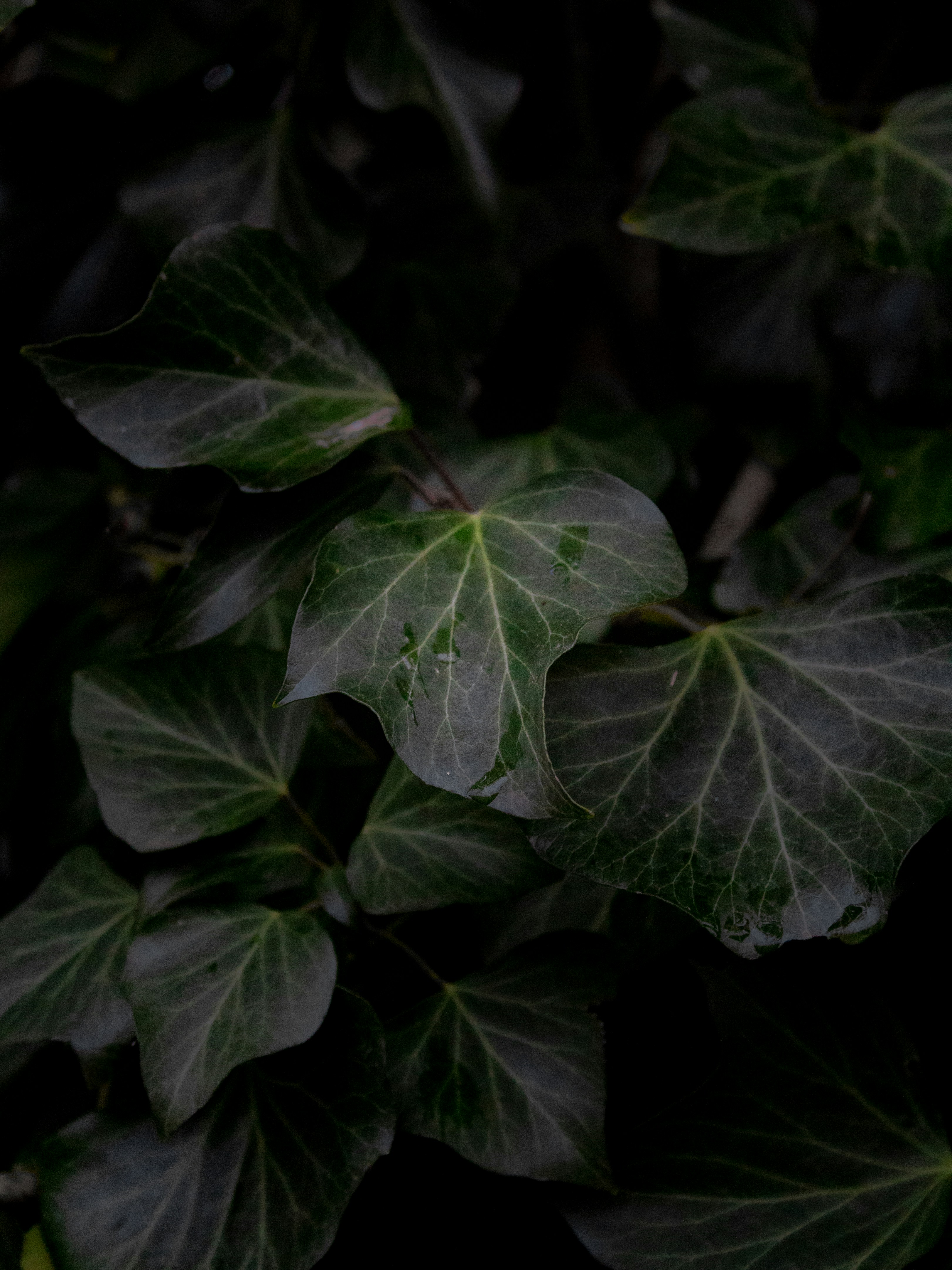 Photo by photosbyedoardo