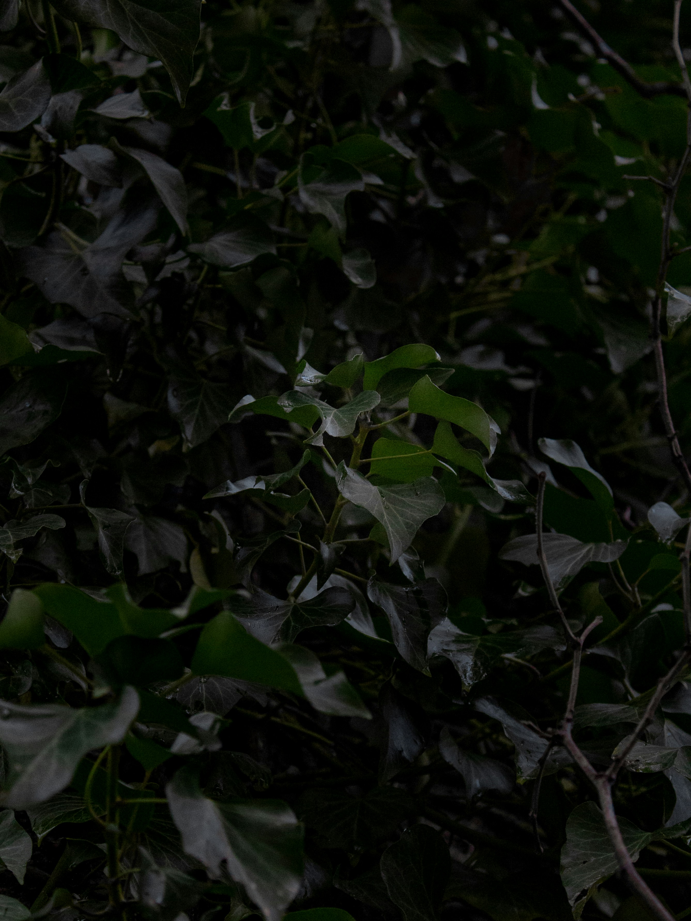 Photo by photosbyedoardo