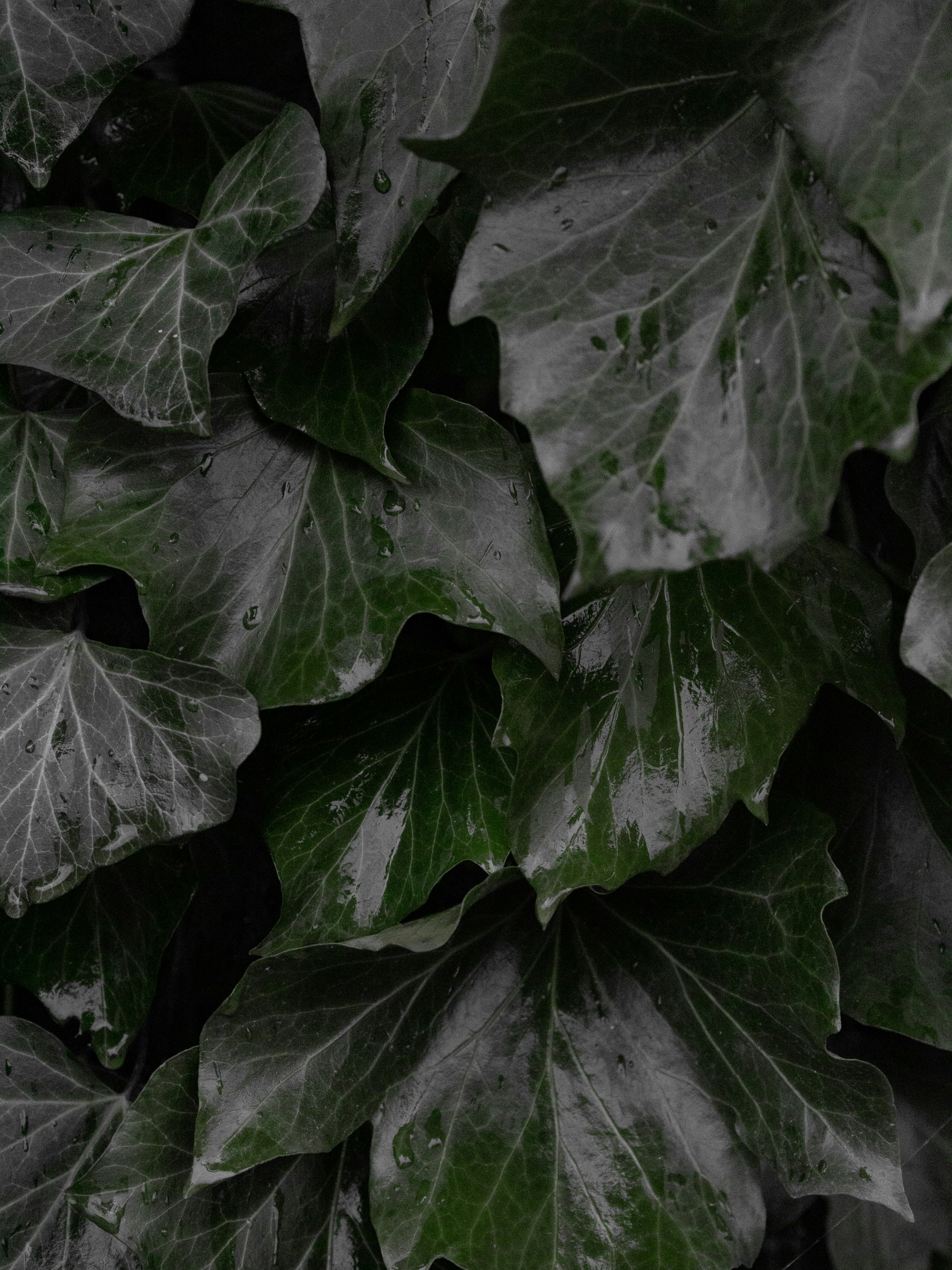 Photo by photosbyedoardo