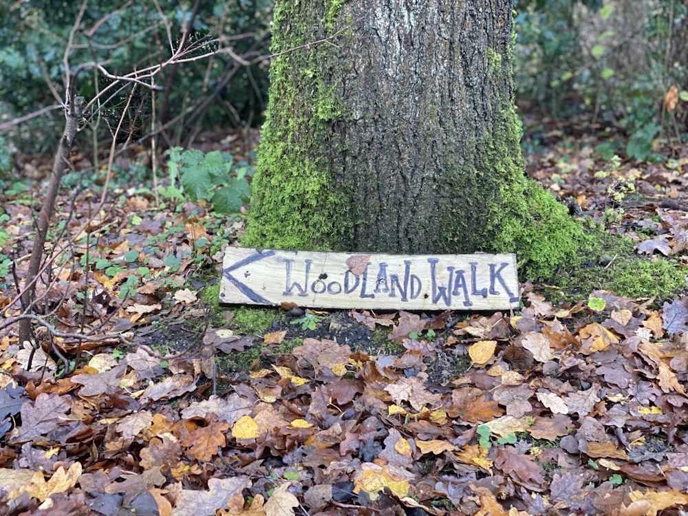 a tree with a sign on it
