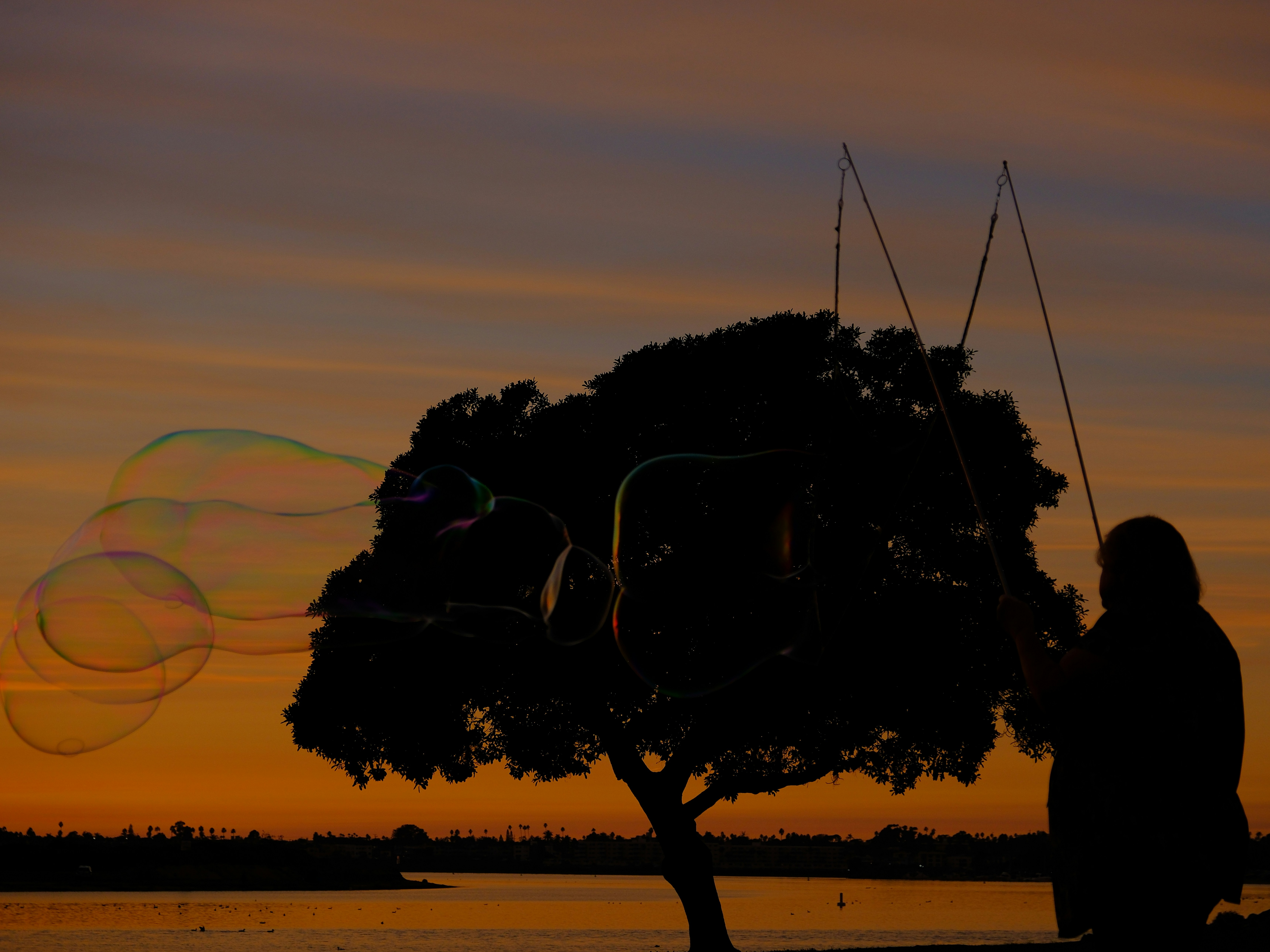 a person standing next to a tree with a sunset in the background