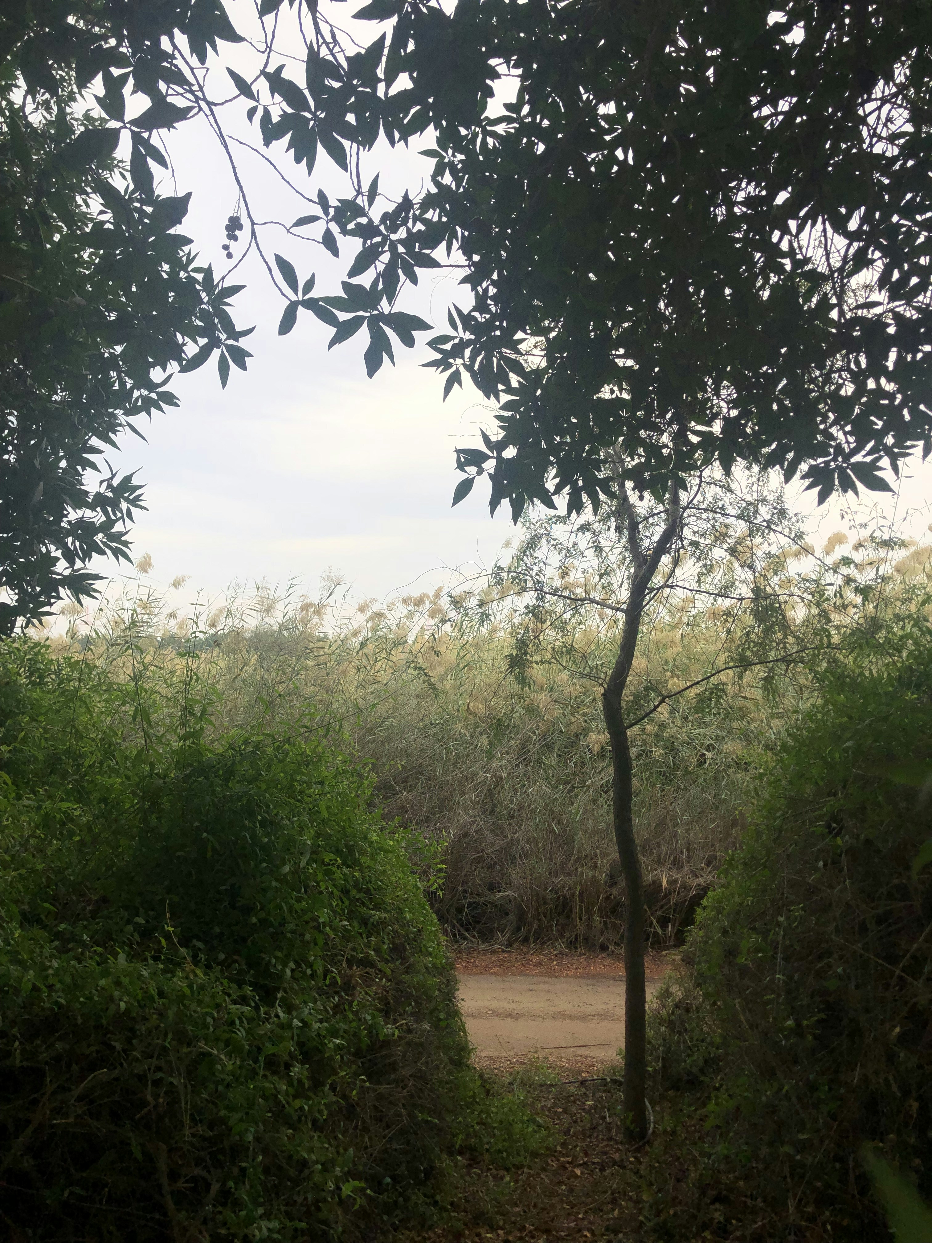 Photo by yymasood