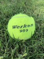 A bright yellow tennis ball rests on a grassy surface. The ball has 'Werkon 909' printed on it in black letters. The textured grass surrounds the ball, creating a natural, outdoor setting.