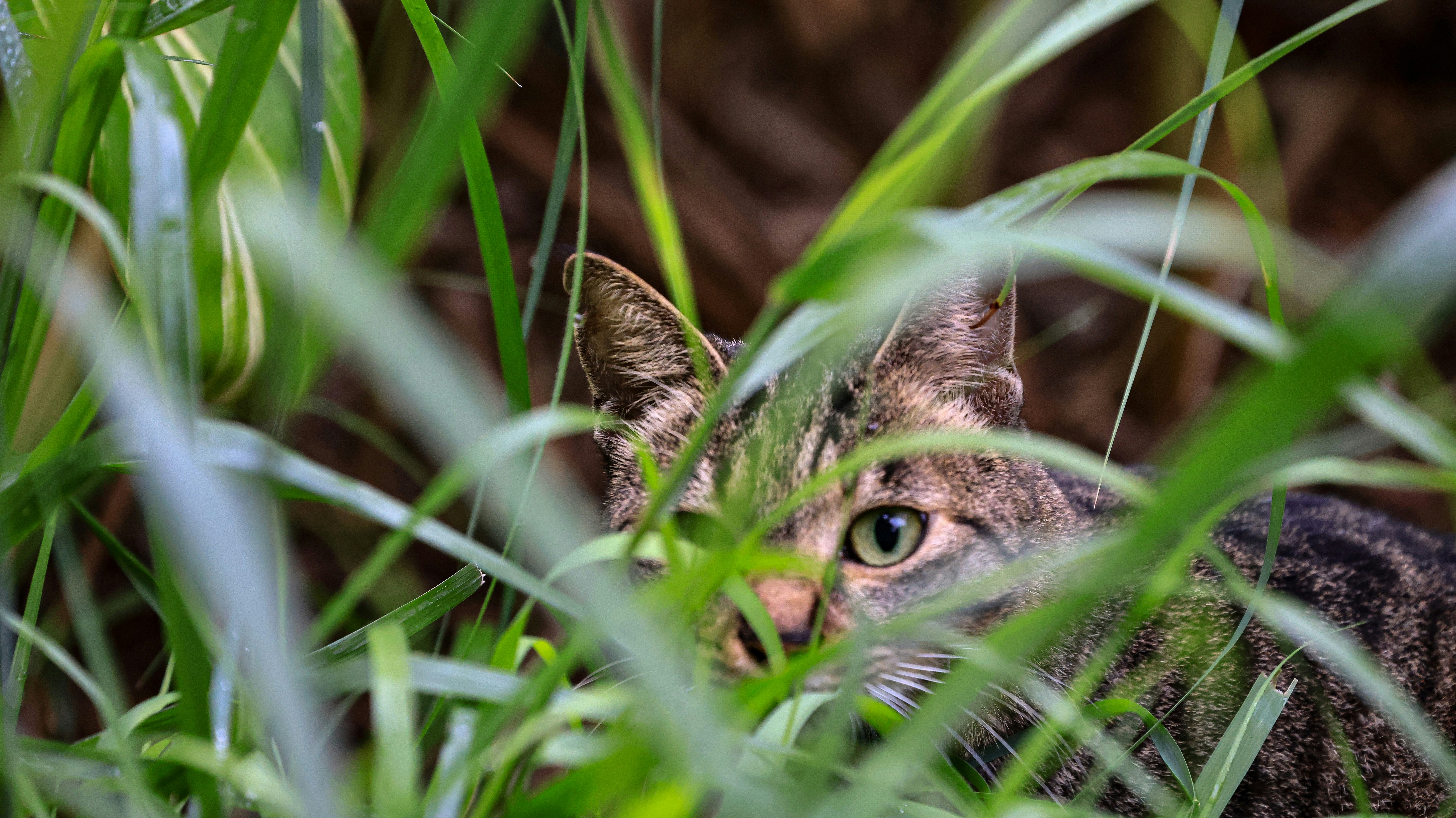 Photo by dickenslin76