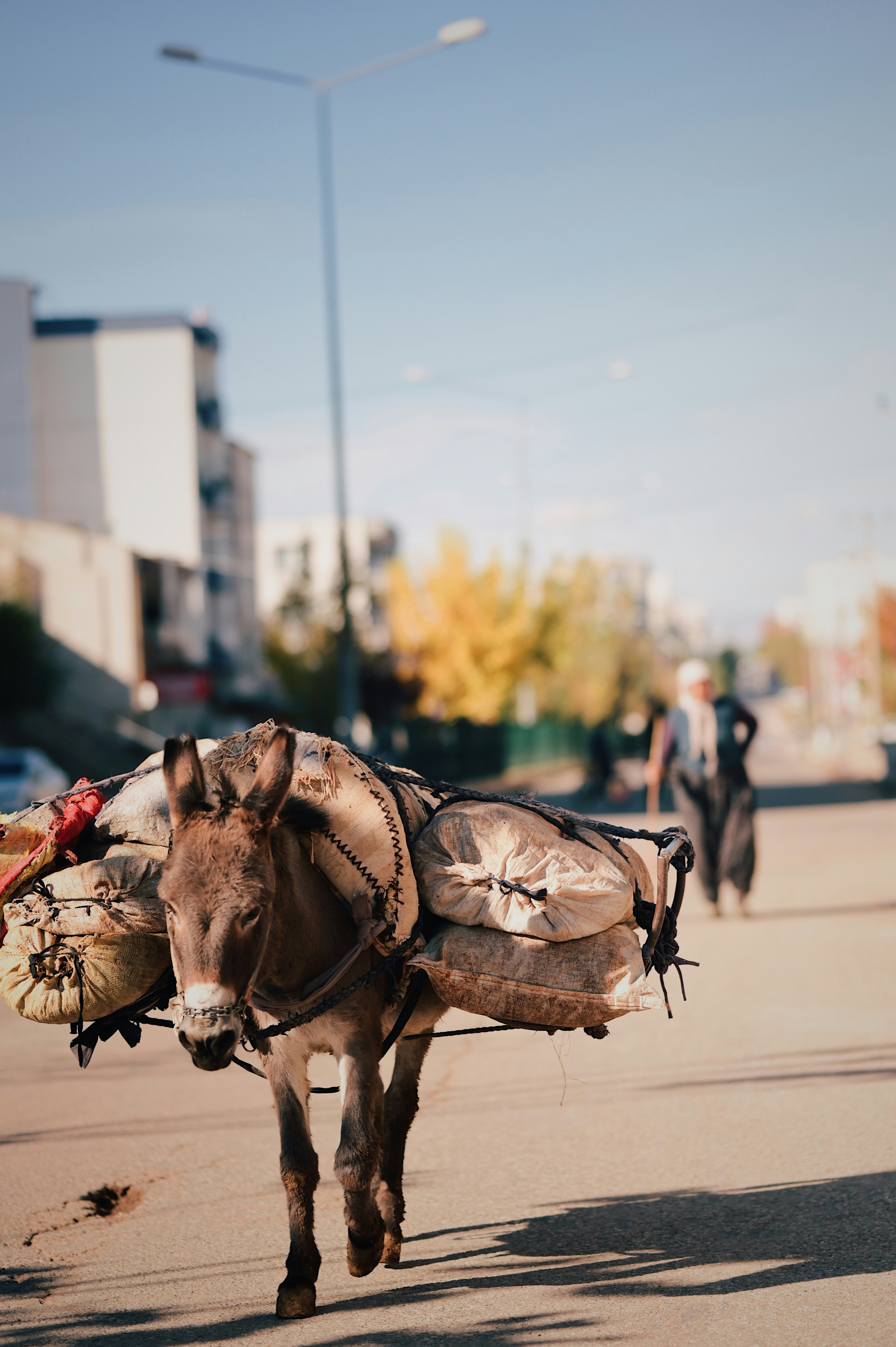 Photo by sserhattug