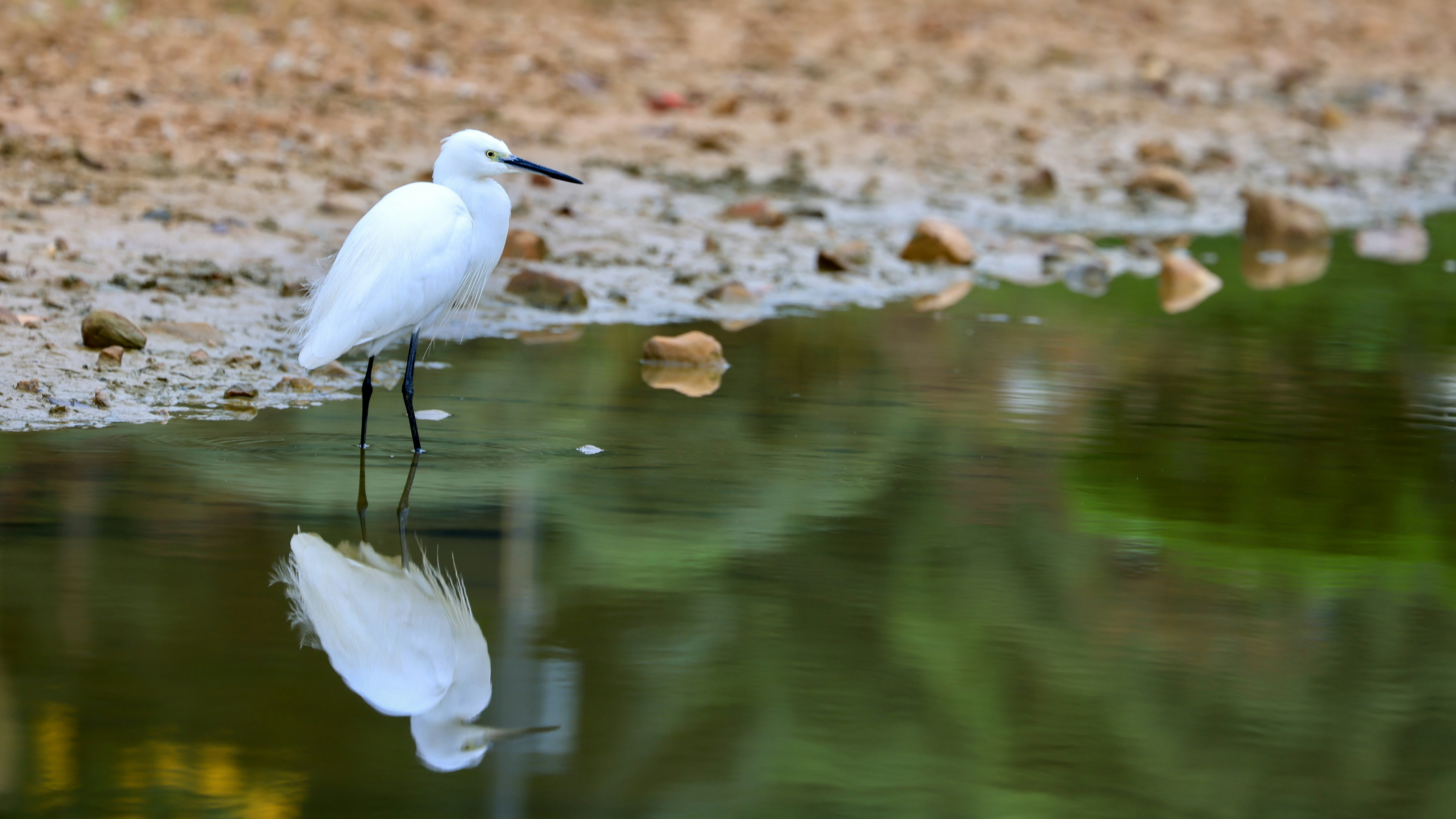 Photo by dickenslin76