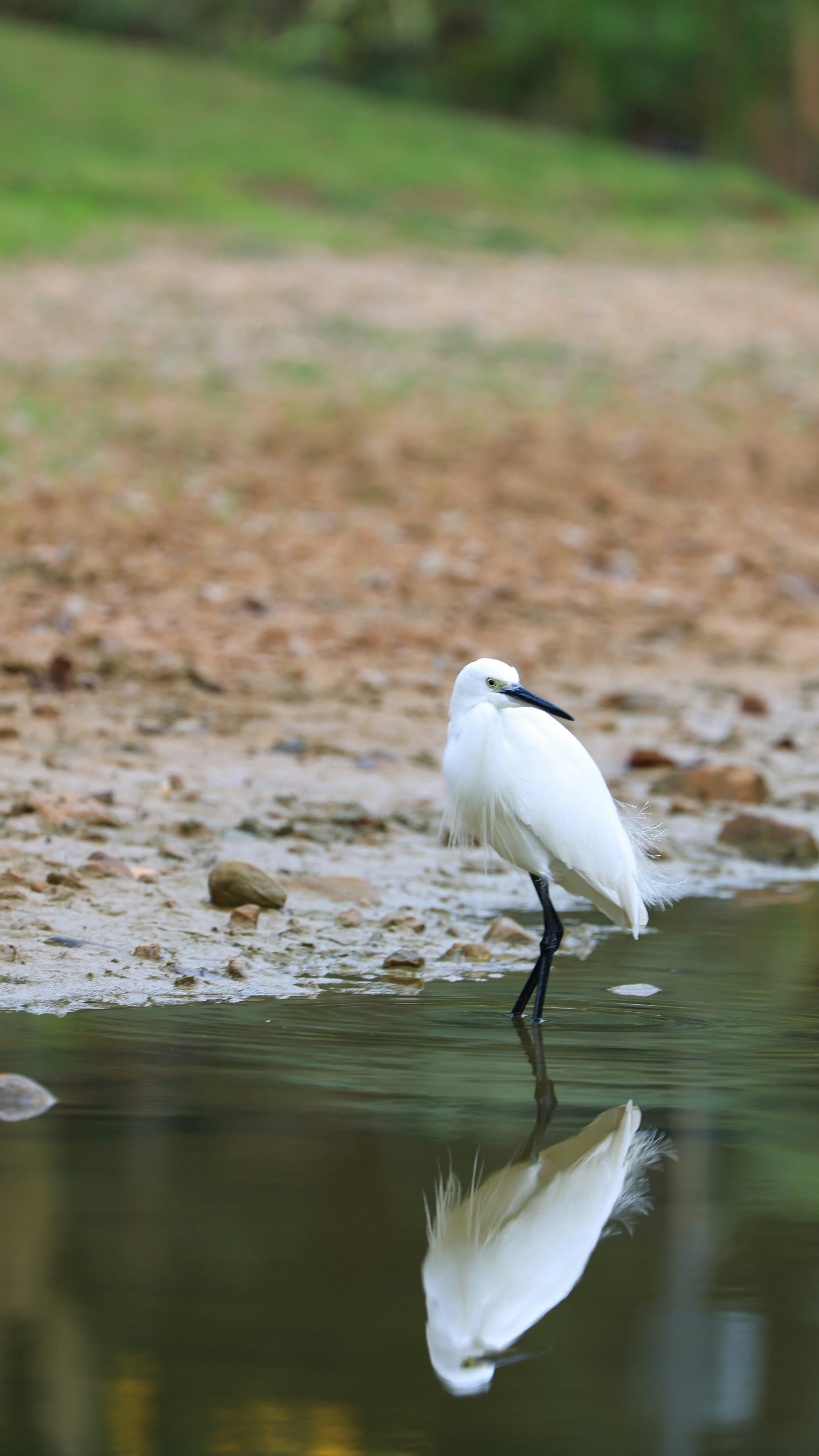 Photo by dickenslin76