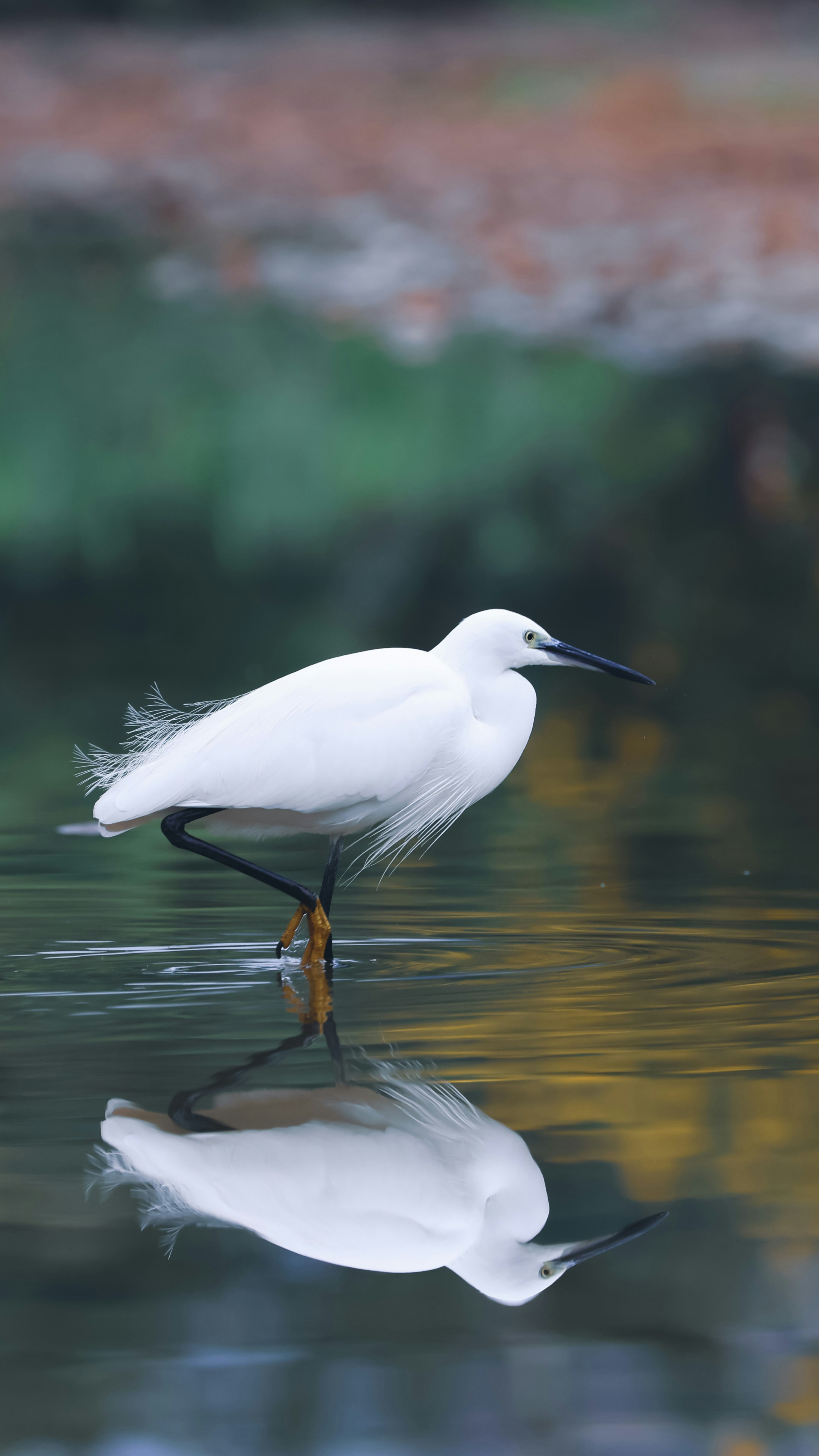 Photo by dickenslin76