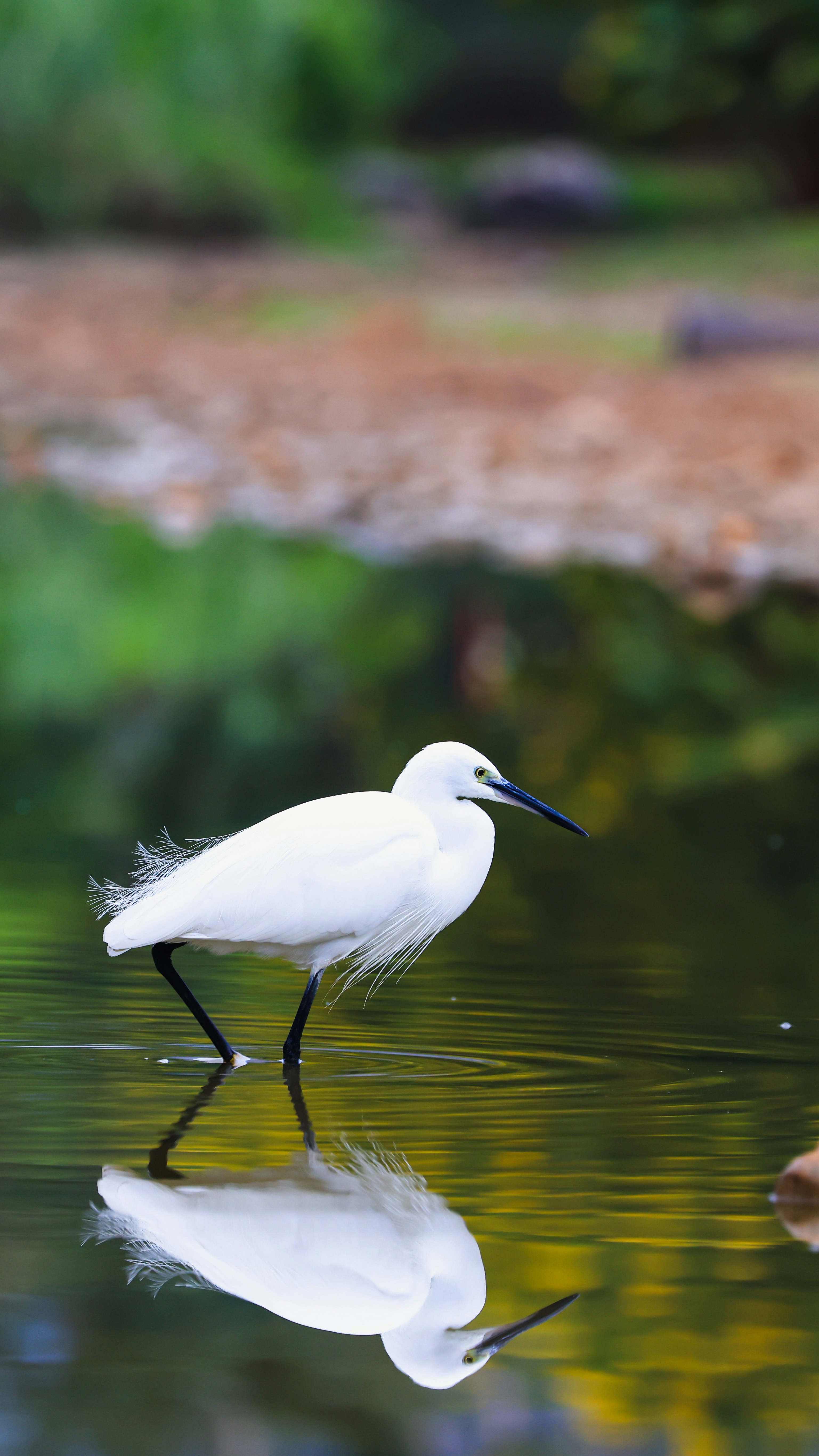 Photo by dickenslin76