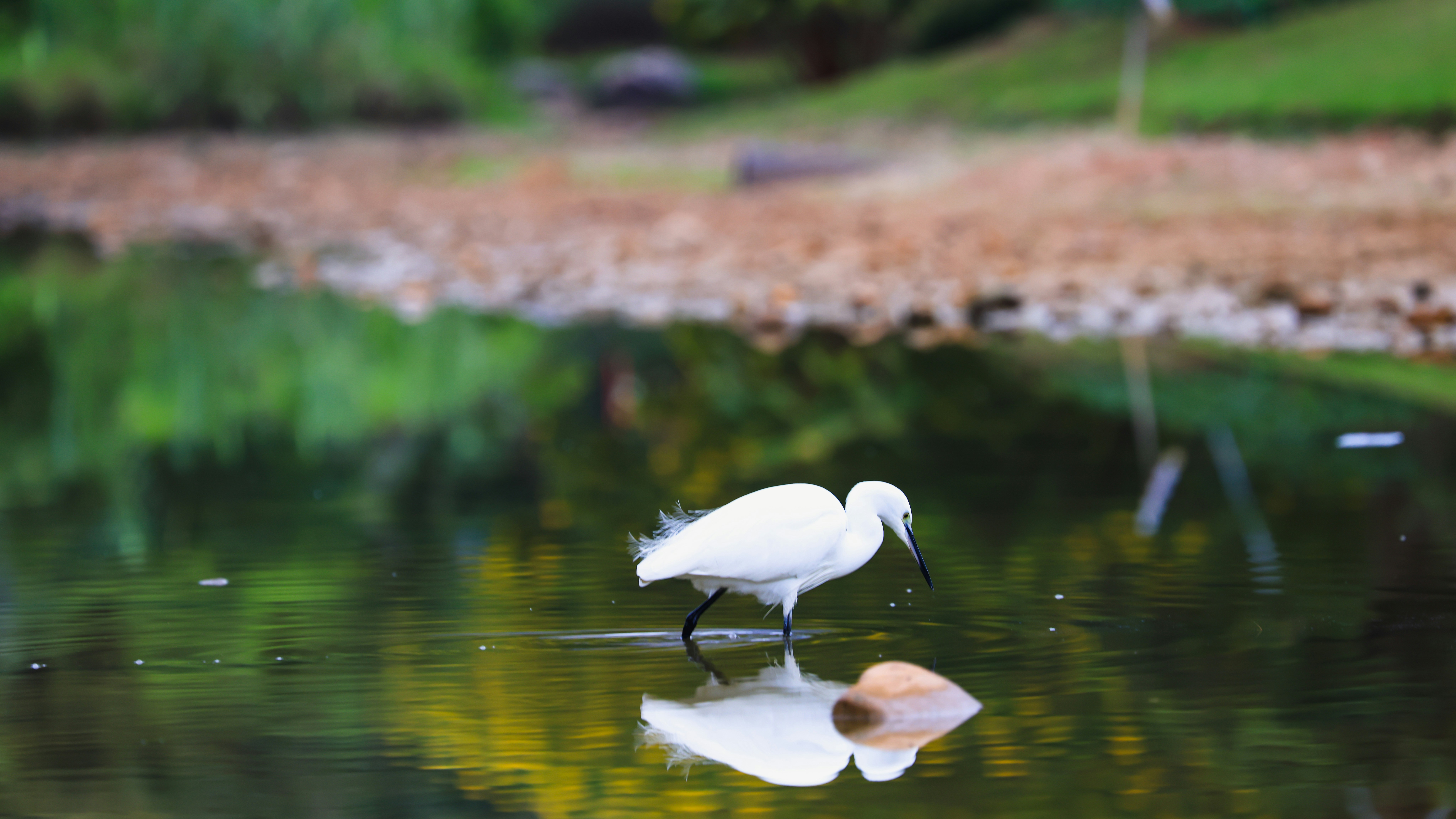 Photo by dickenslin76