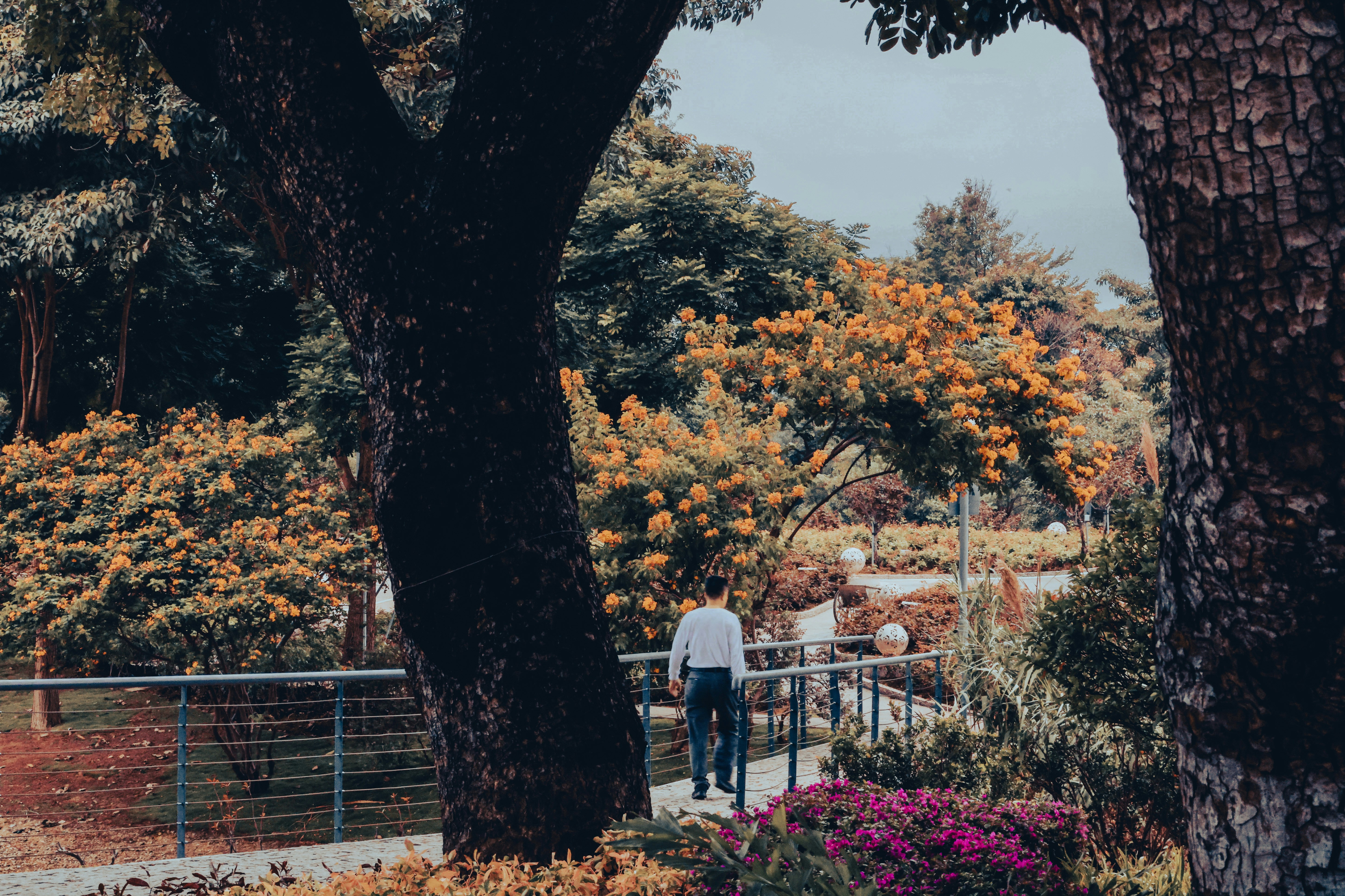 Photo by dickenslin76