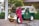 A man in a maroon traditional outfit stands confidently next to a vintage green off-road vehicle with a beige roof. The scene is set outdoors, surrounded by lush greenery and the corner of a building. The vehicle has a license plate and a sign reading 'Melia Serengeti Lodge'.